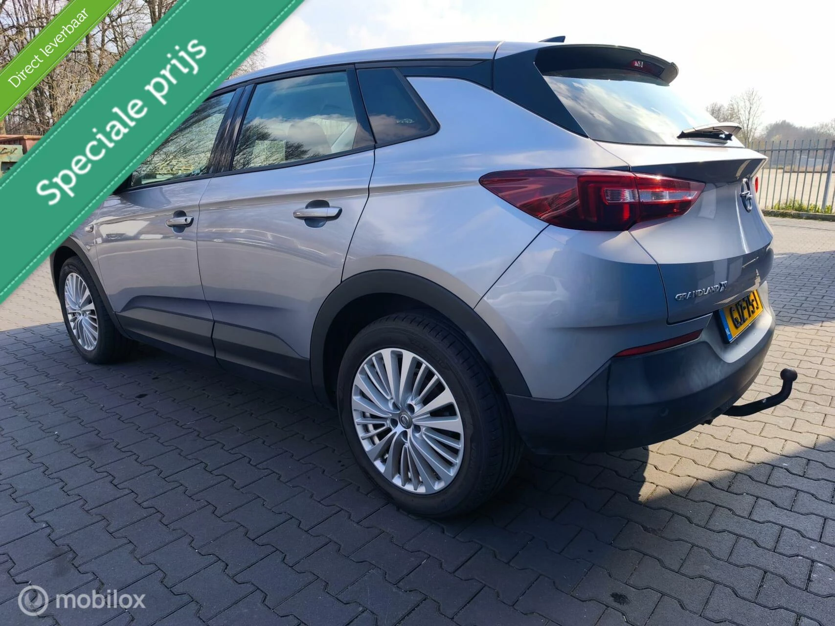 Hoofdafbeelding Opel Grandland X