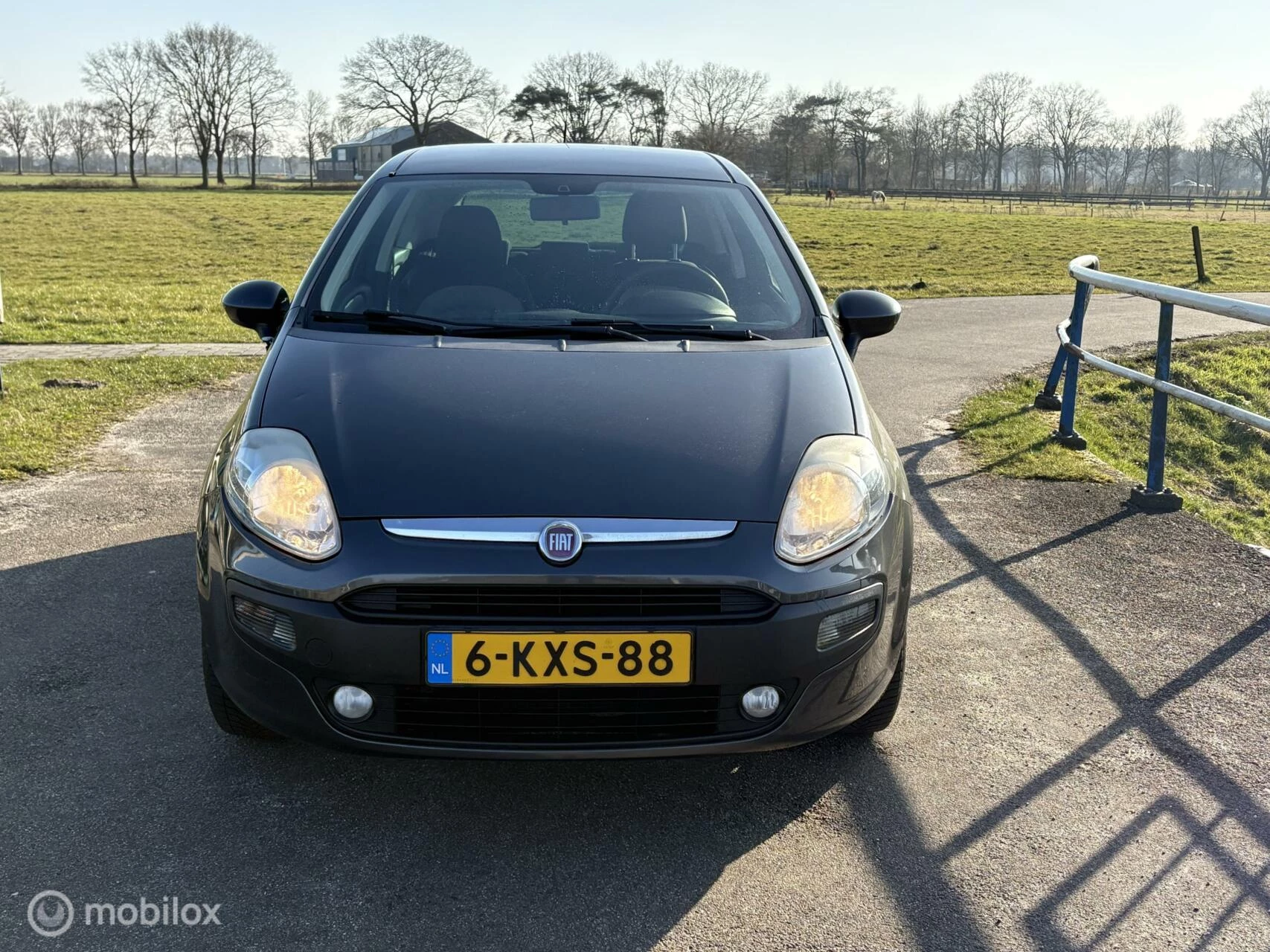 Hoofdafbeelding Fiat Punto