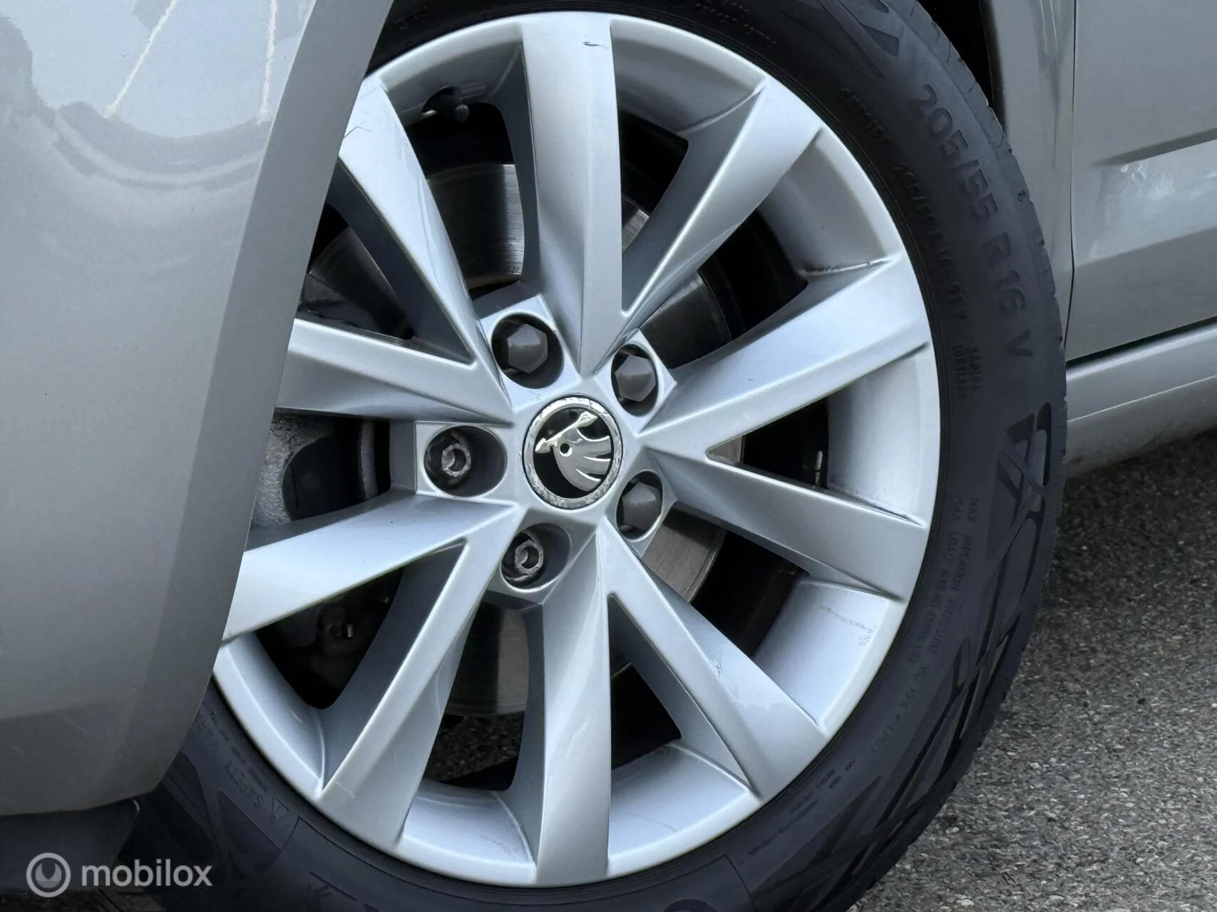 Hoofdafbeelding Škoda Octavia