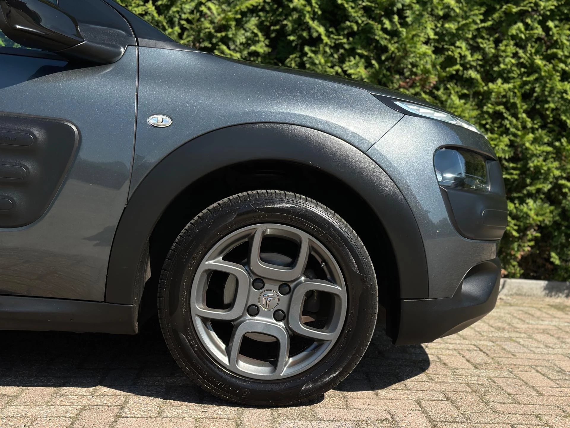 Hoofdafbeelding Citroën C4 Cactus