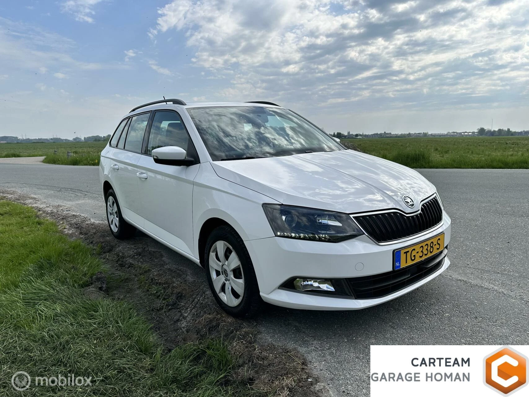Hoofdafbeelding Škoda Fabia