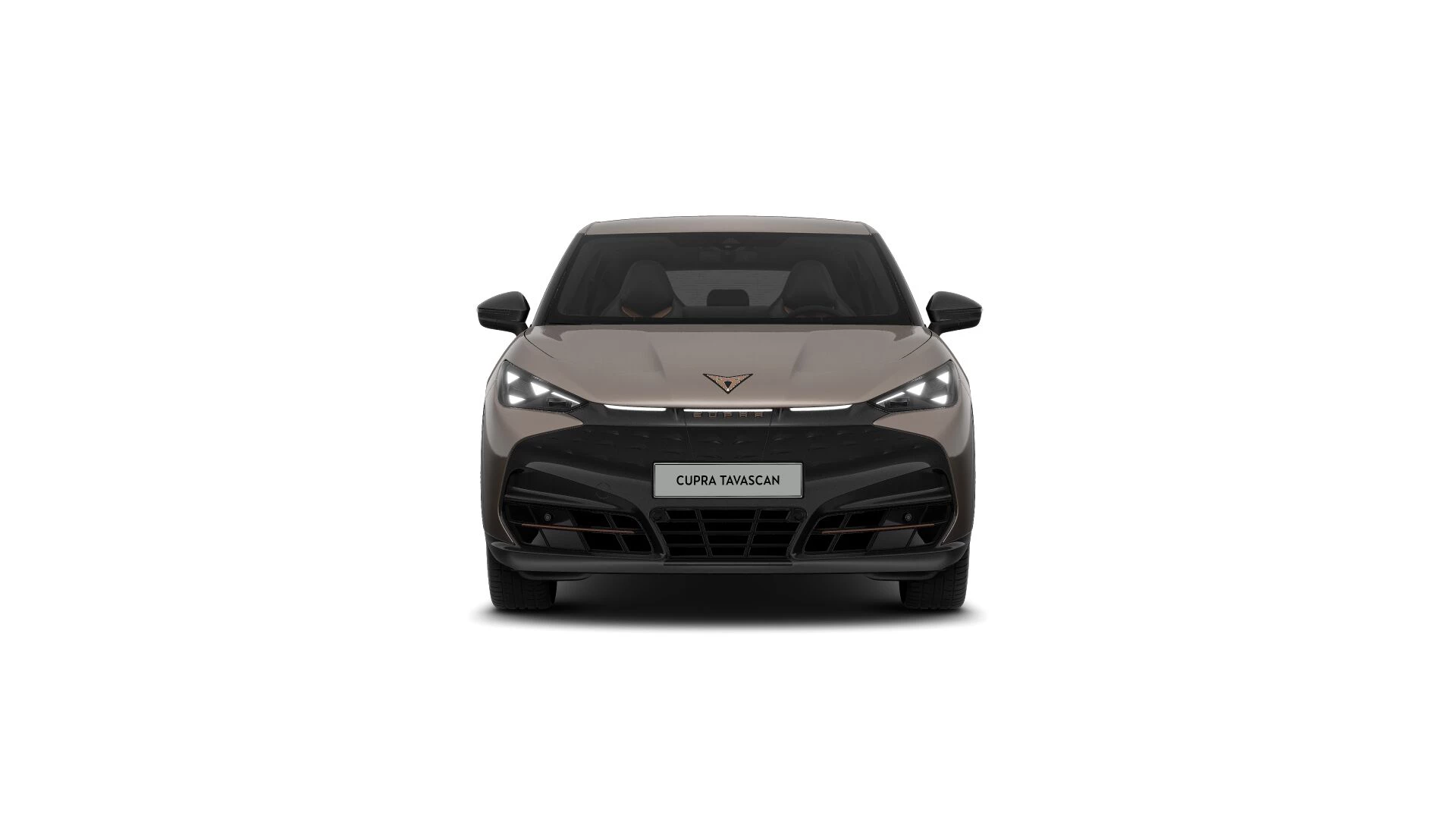 Hoofdafbeelding CUPRA Tavascan