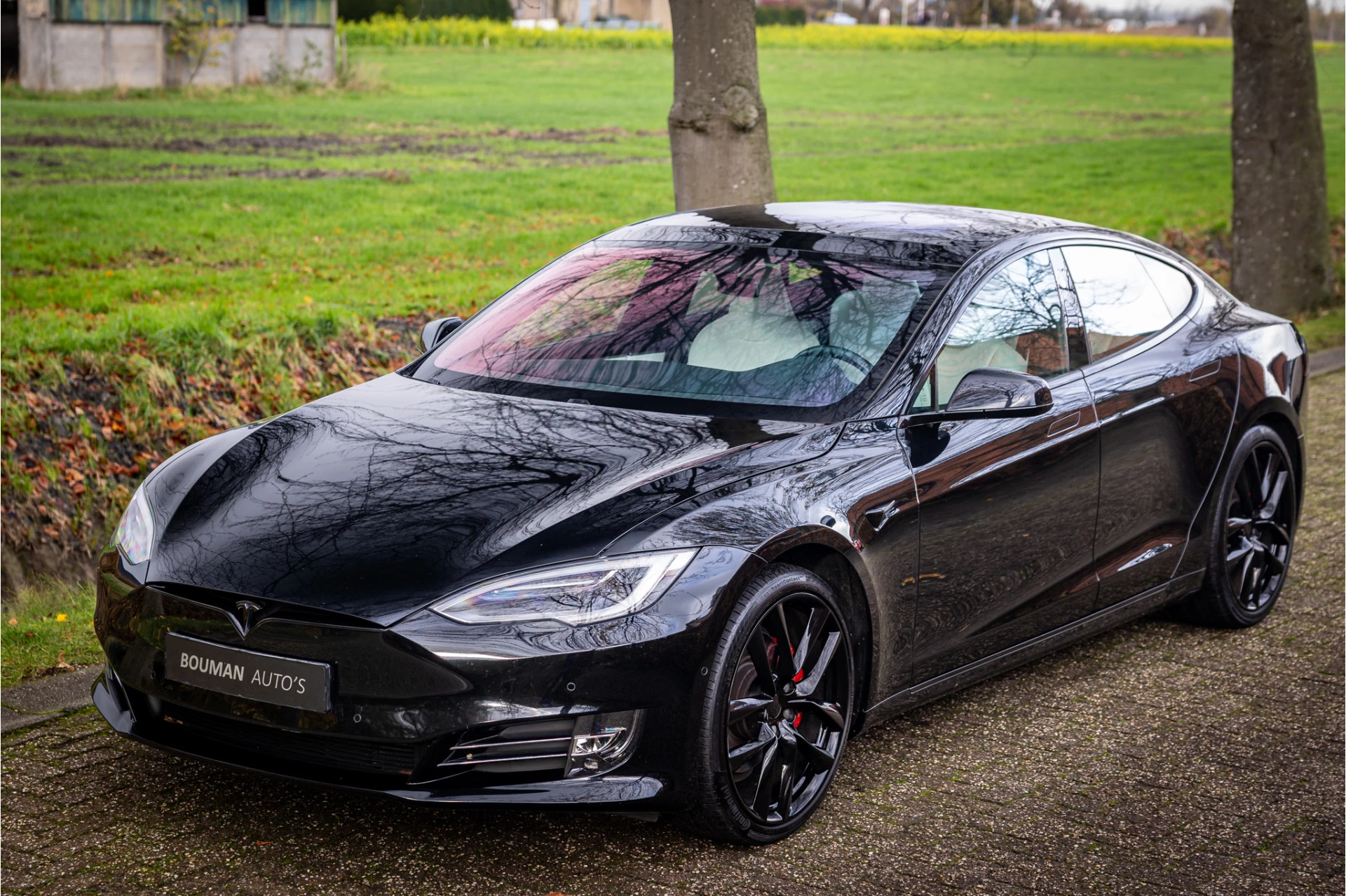 Hoofdafbeelding Tesla Model S
