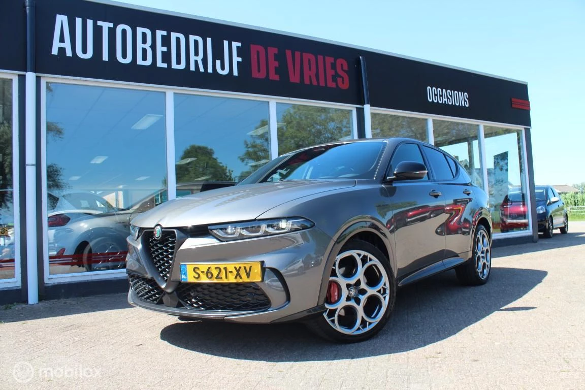 Hoofdafbeelding Alfa Romeo Tonale