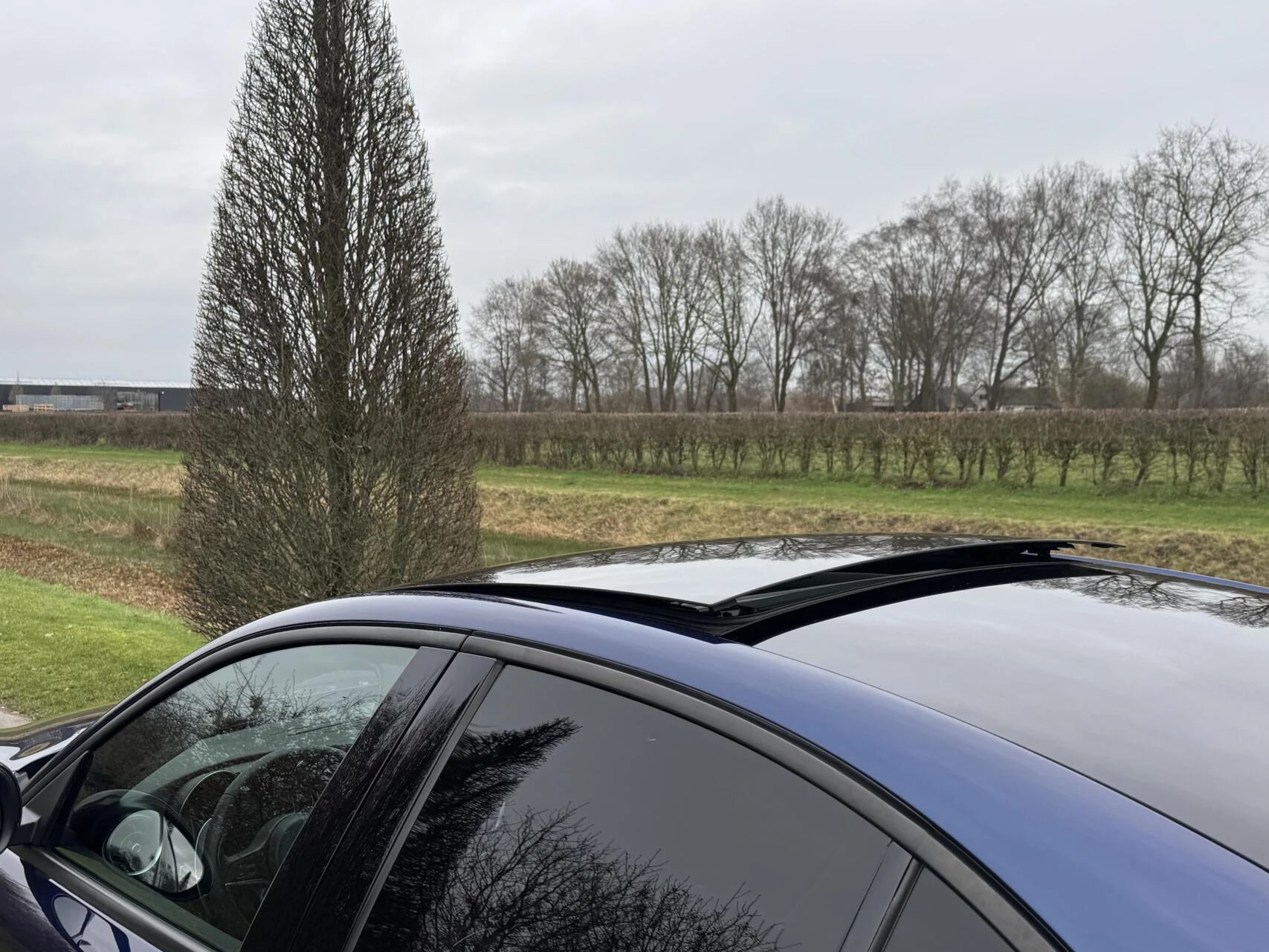 Hoofdafbeelding Alfa Romeo Giulia