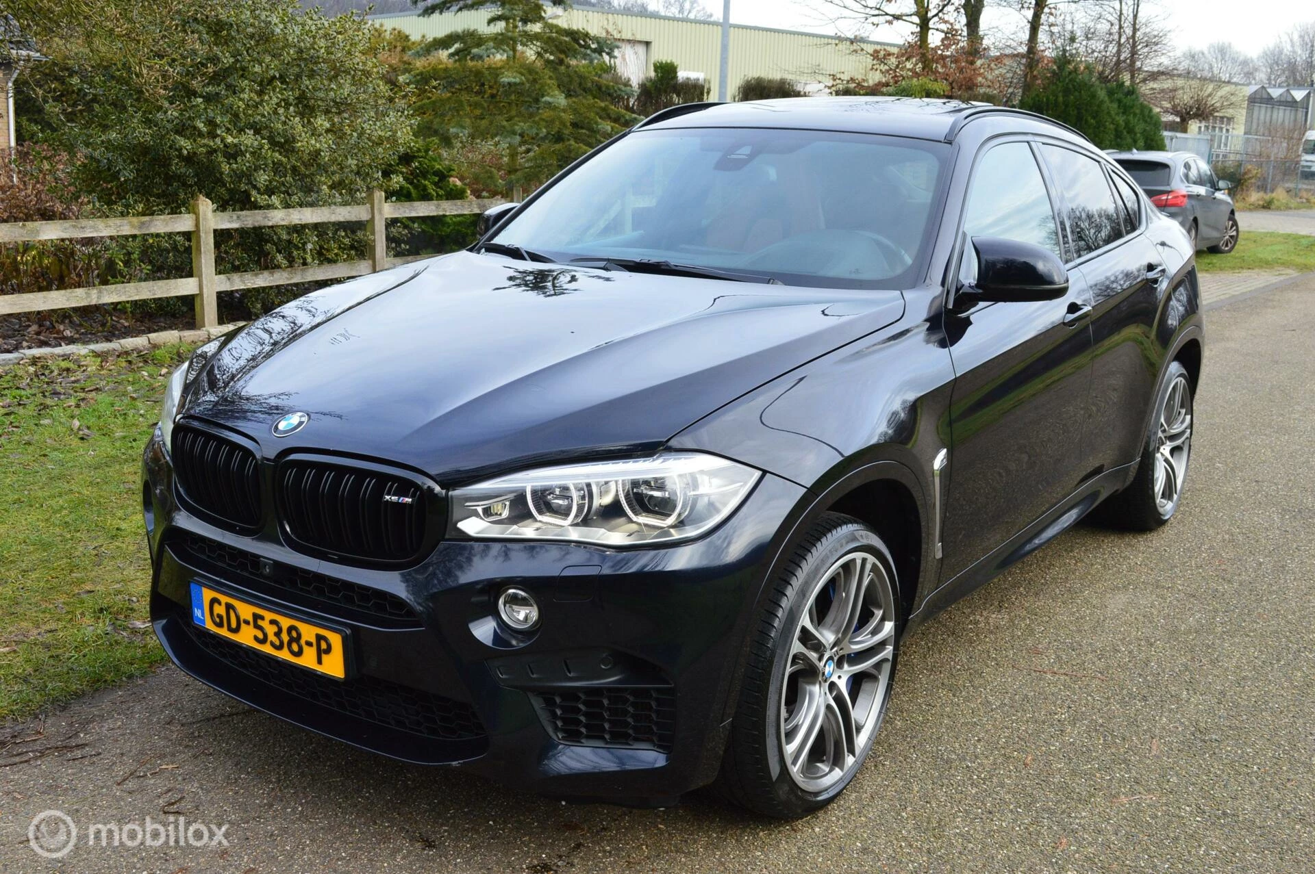 Hoofdafbeelding BMW X6