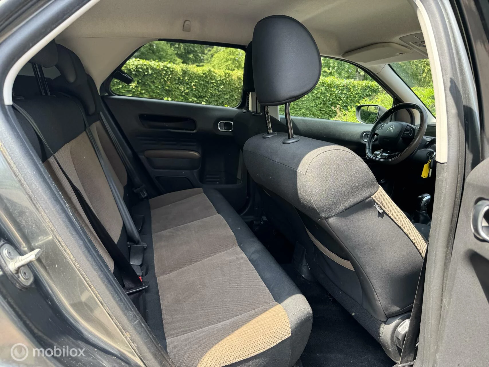 Hoofdafbeelding Citroën C4 Cactus