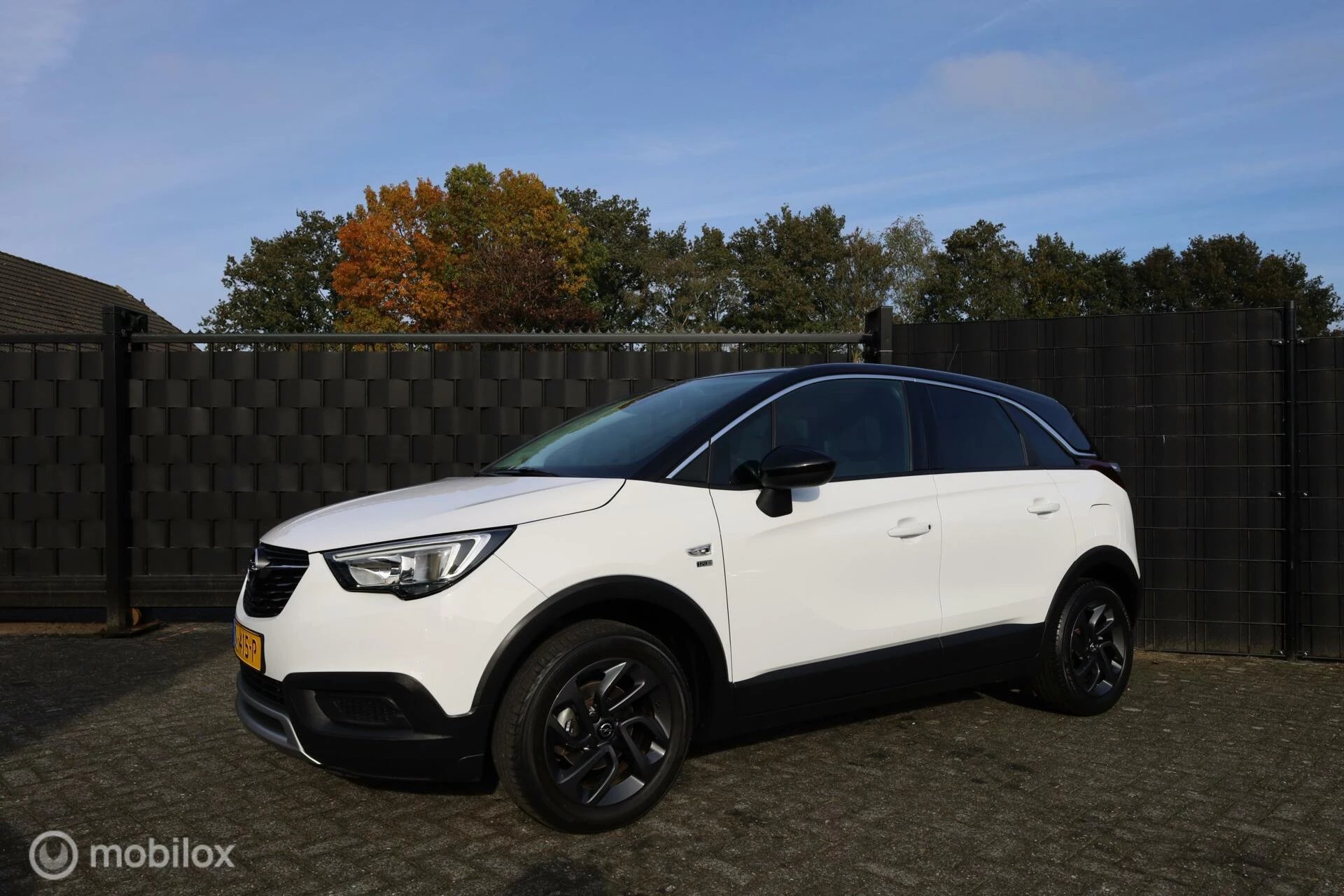 Hoofdafbeelding Opel Crossland X