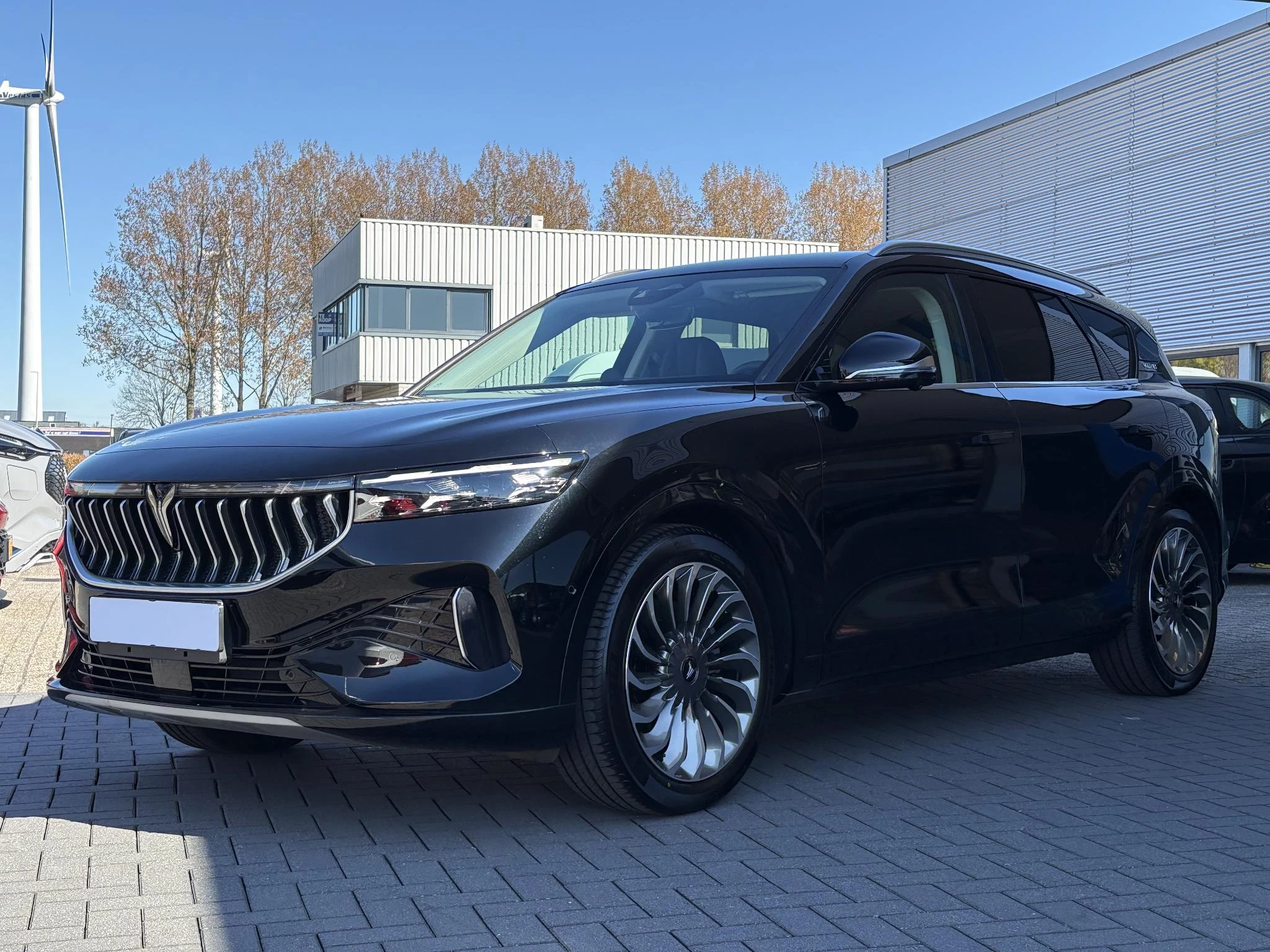 Hoofdafbeelding Voyah Free