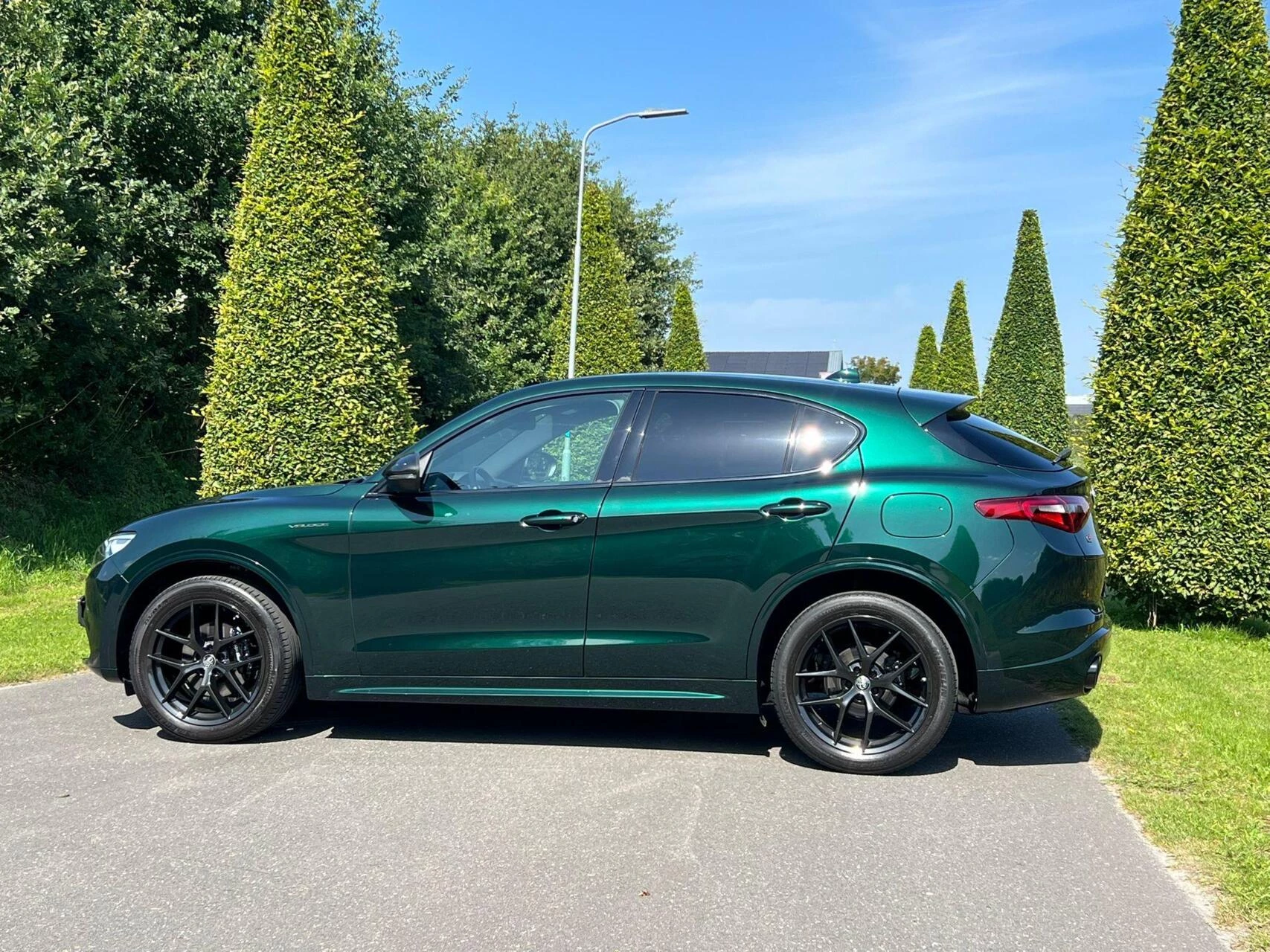 Hoofdafbeelding Alfa Romeo Stelvio