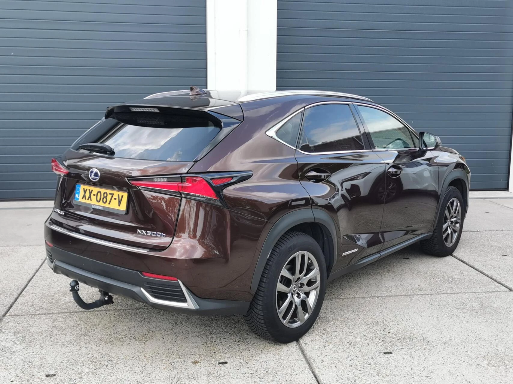 Hoofdafbeelding Lexus NX