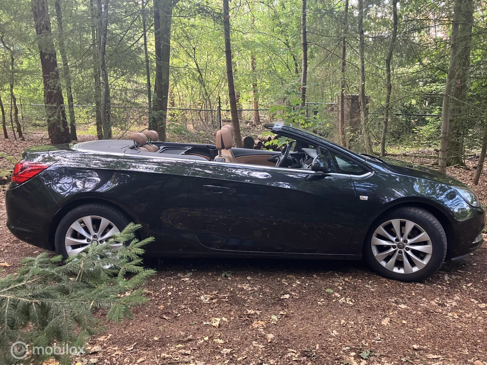 Hoofdafbeelding Opel Cascada
