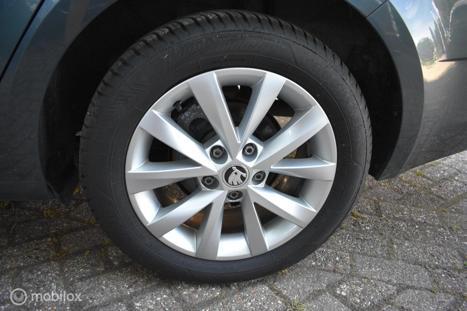 Hoofdafbeelding Škoda Octavia