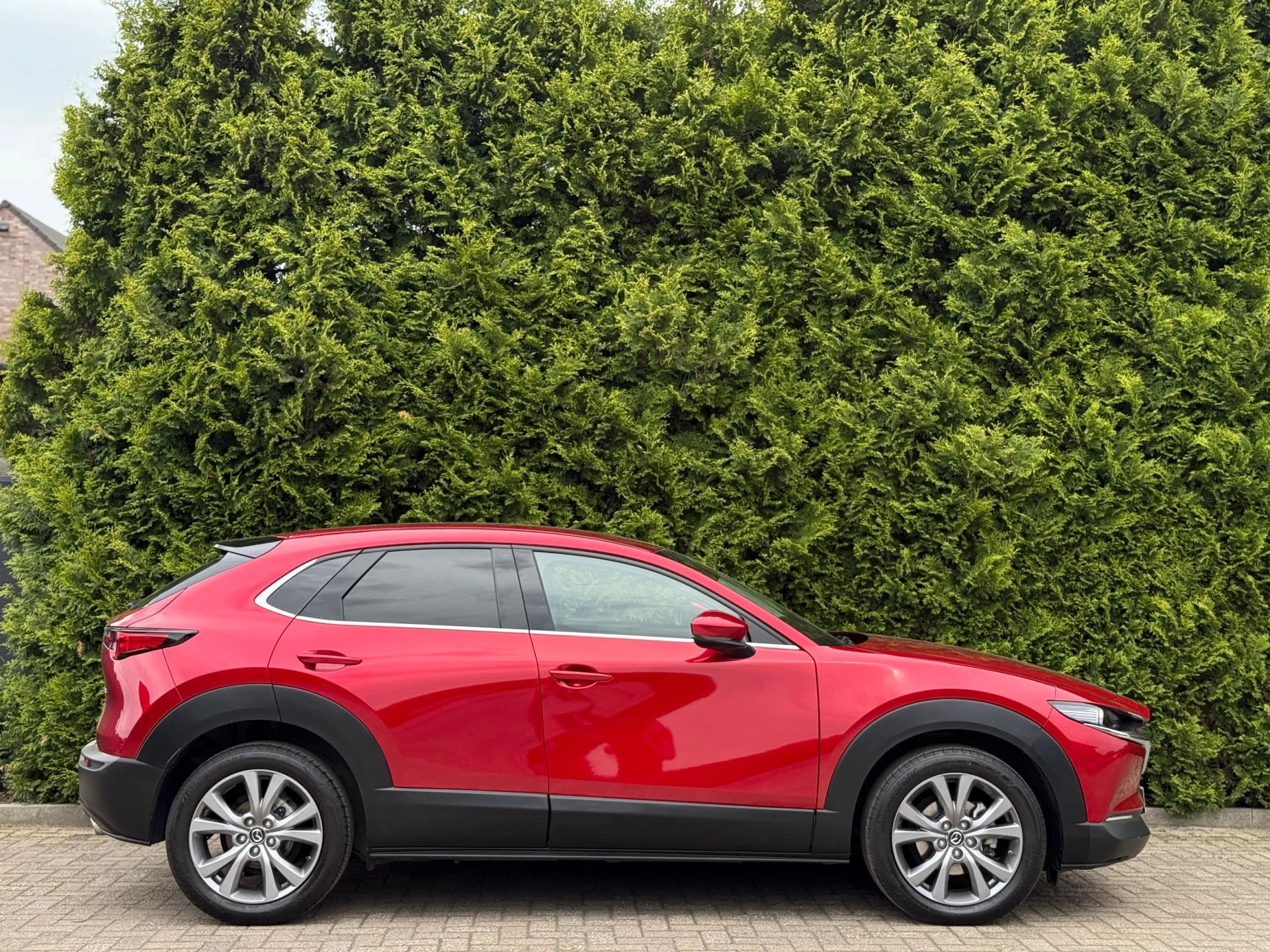 Hoofdafbeelding Mazda CX-30