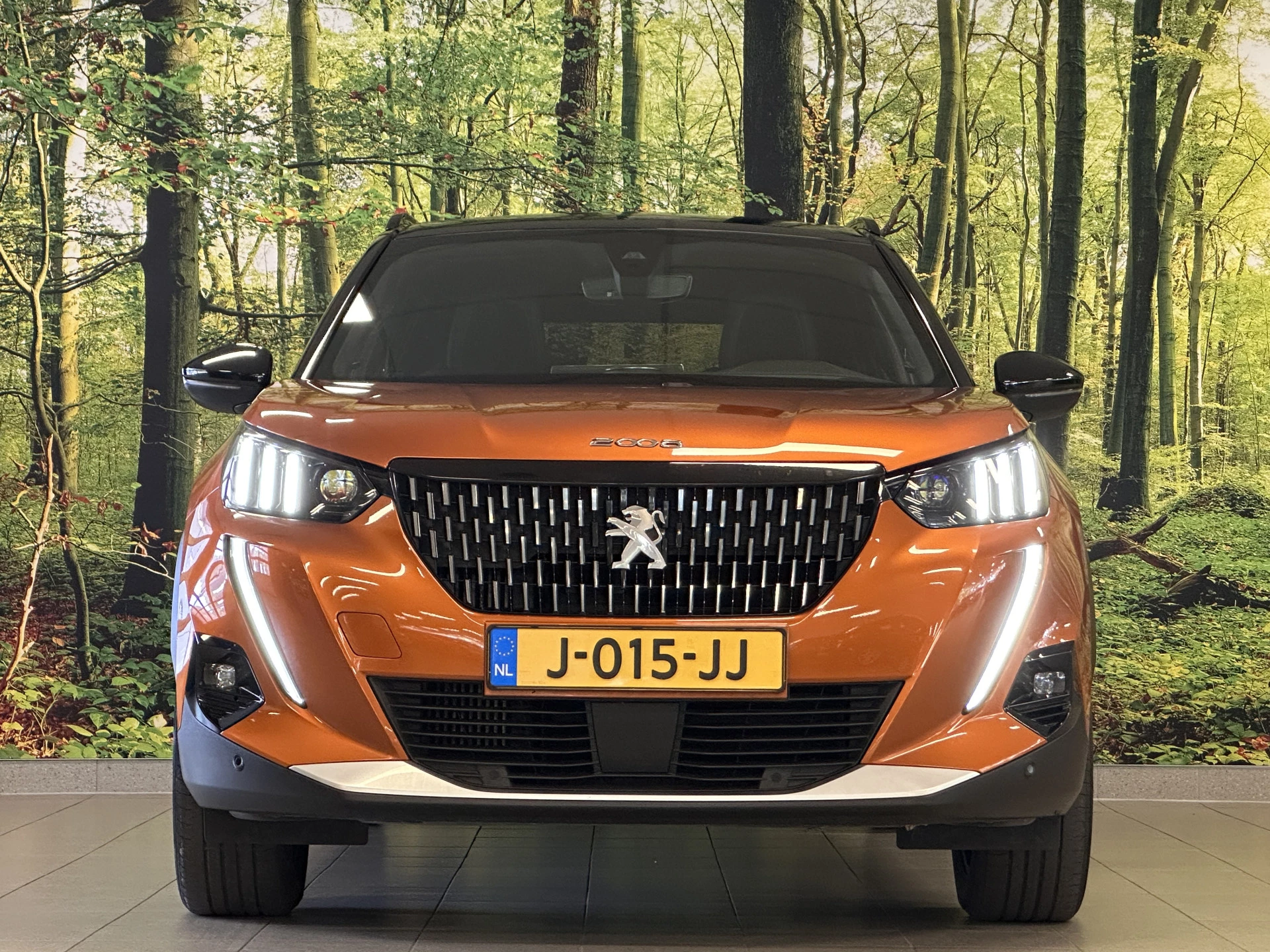 Hoofdafbeelding Peugeot 2008