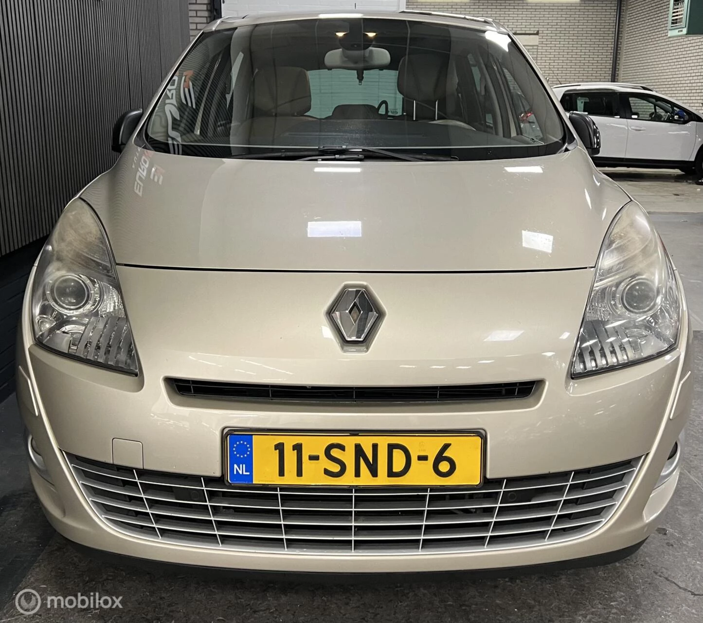 Hoofdafbeelding Renault Scénic