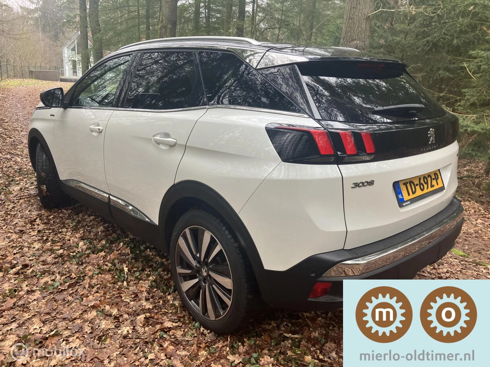 Hoofdafbeelding Peugeot 3008