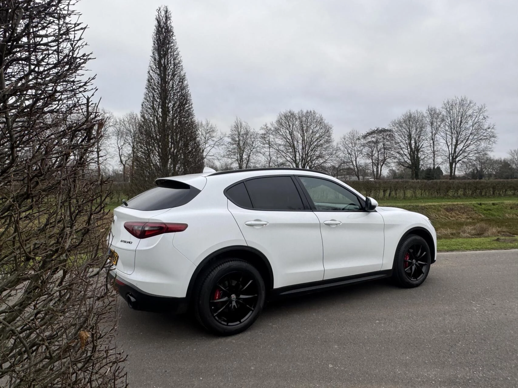 Hoofdafbeelding Alfa Romeo Stelvio