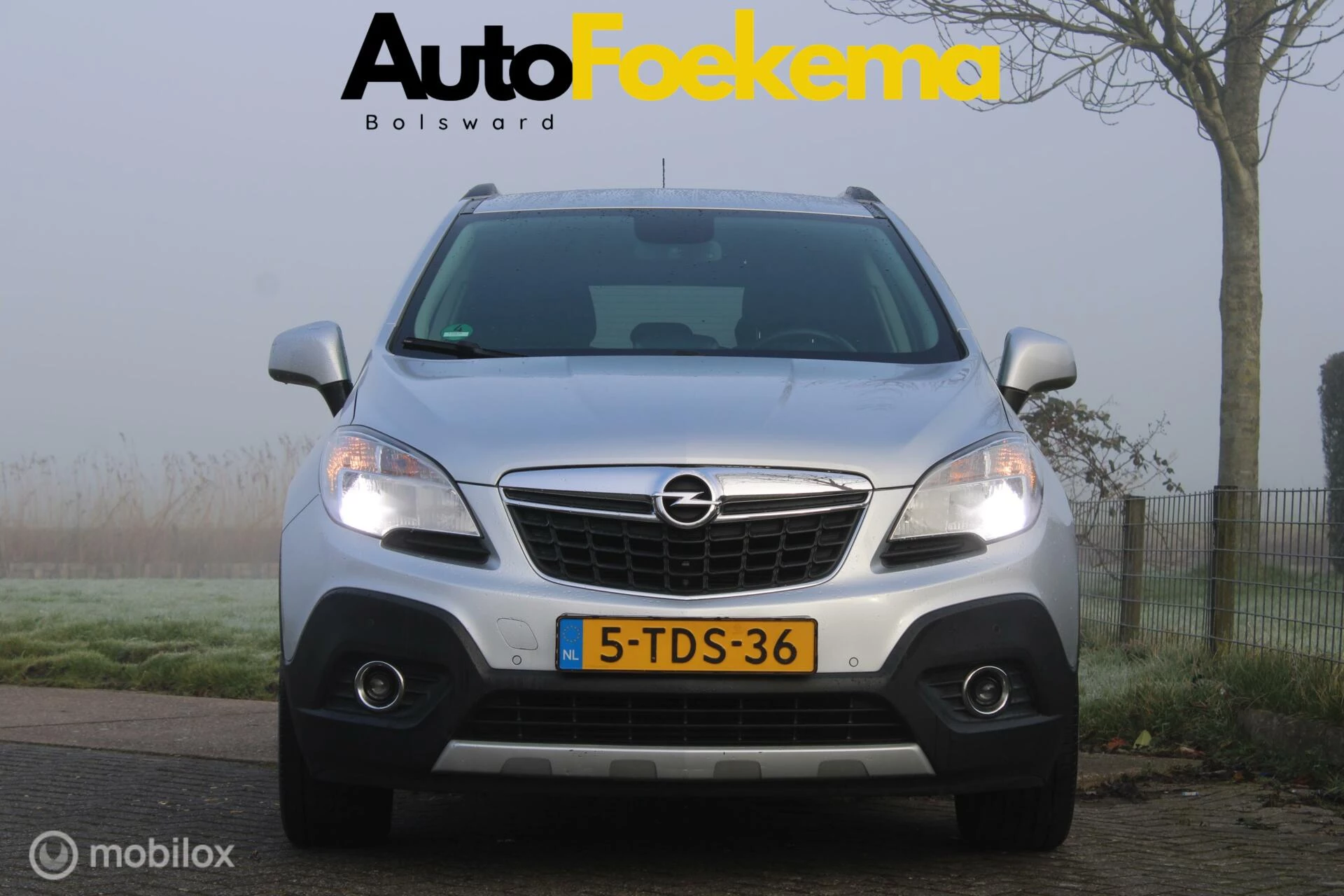 Hoofdafbeelding Opel Mokka