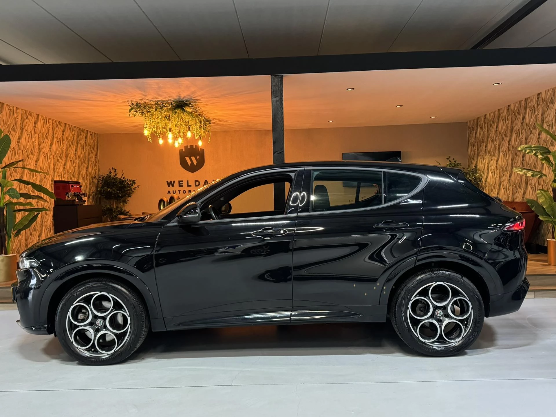 Hoofdafbeelding Alfa Romeo Tonale