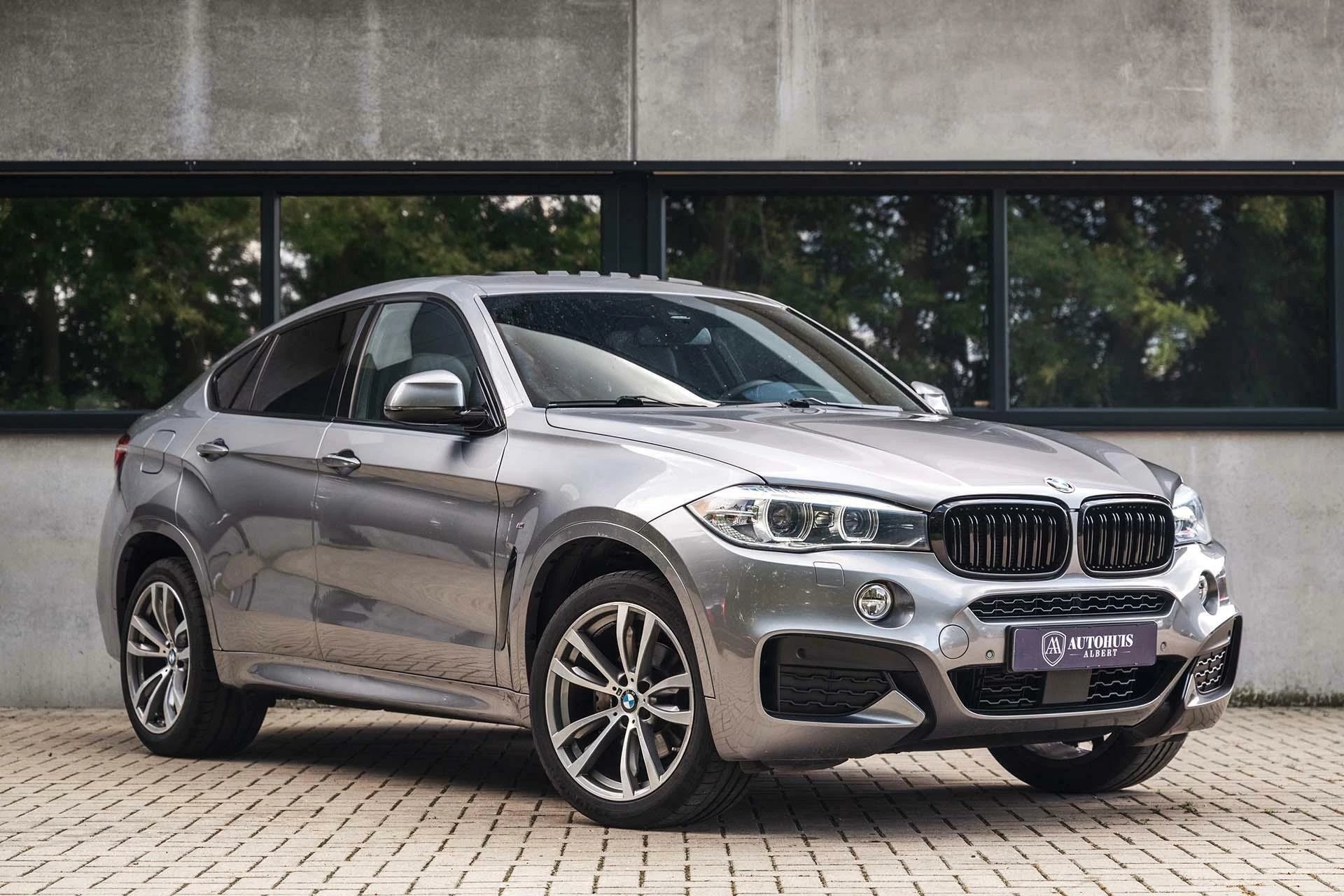 Hoofdafbeelding BMW X6