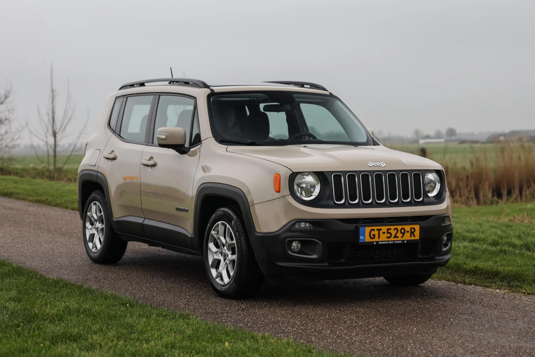 Hoofdafbeelding Jeep Renegade