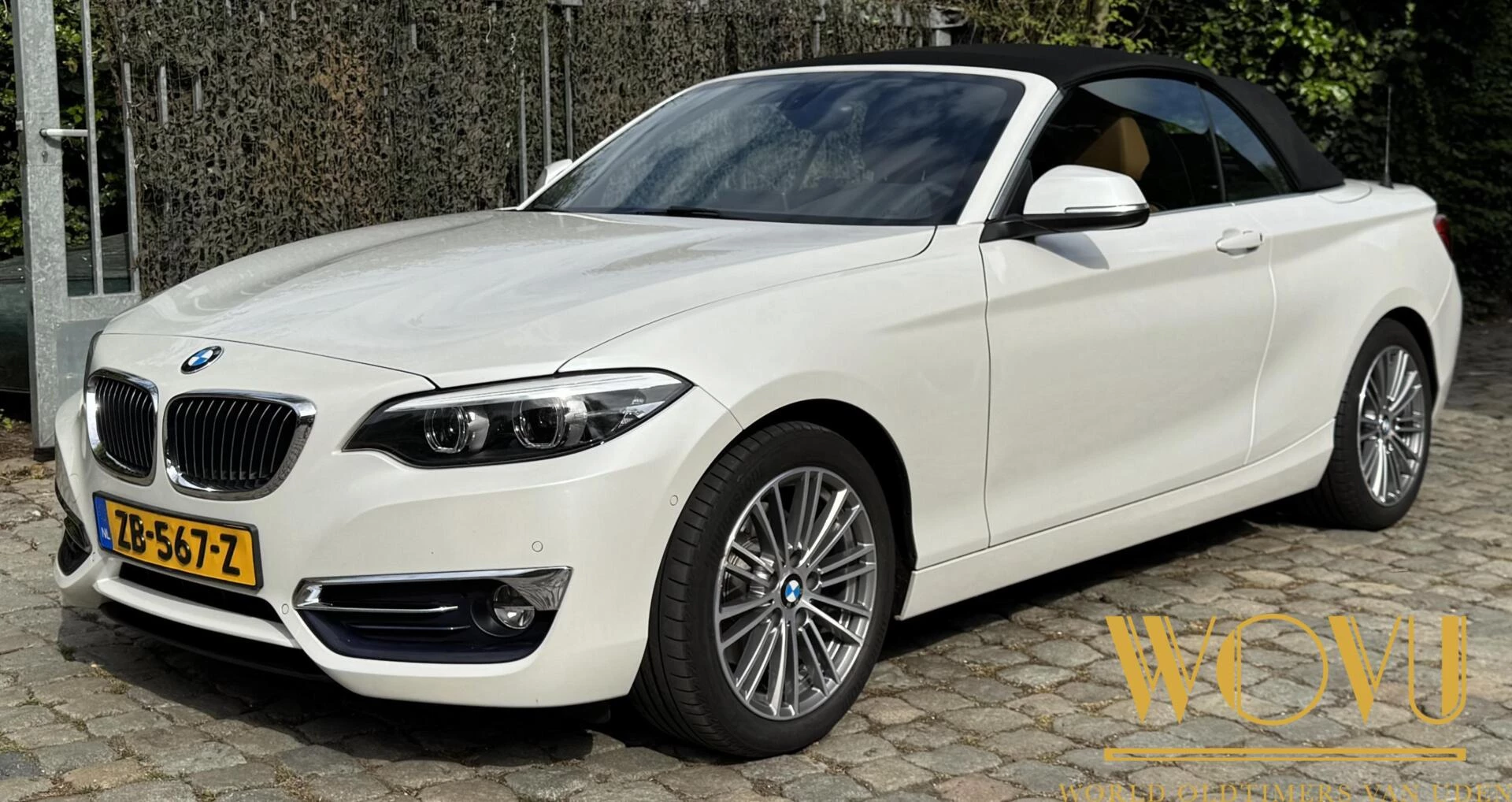 Hoofdafbeelding BMW 2 Serie