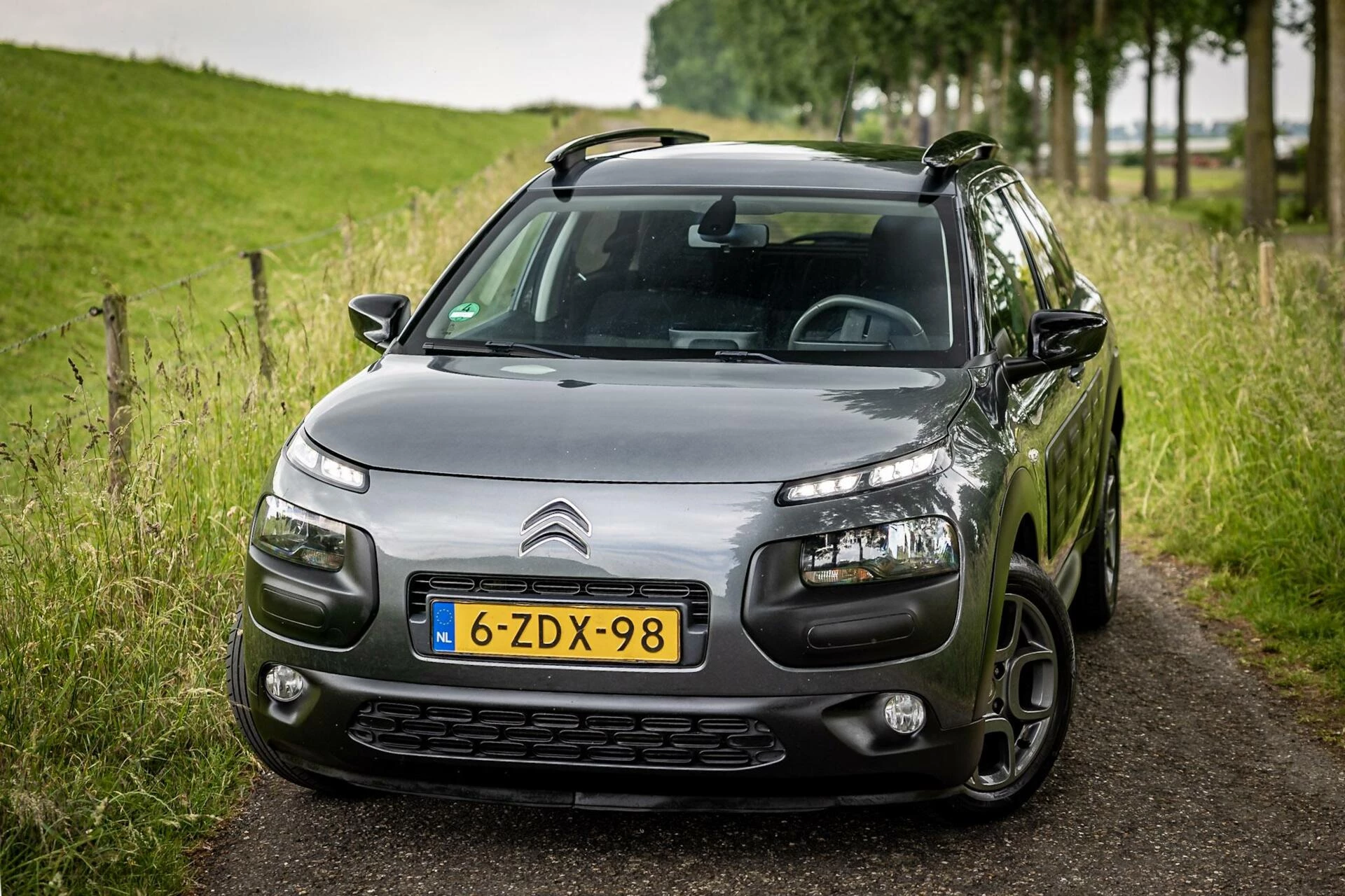 Hoofdafbeelding Citroën C4 Cactus