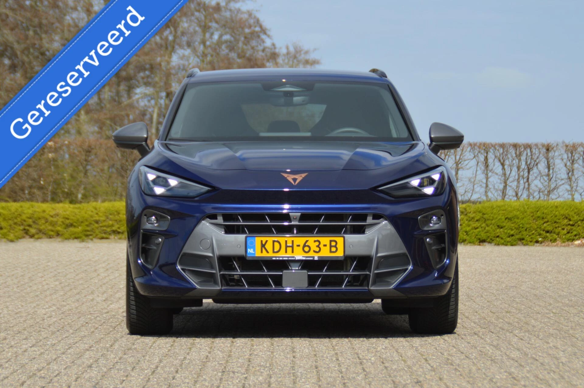 Hoofdafbeelding CUPRA Terramar