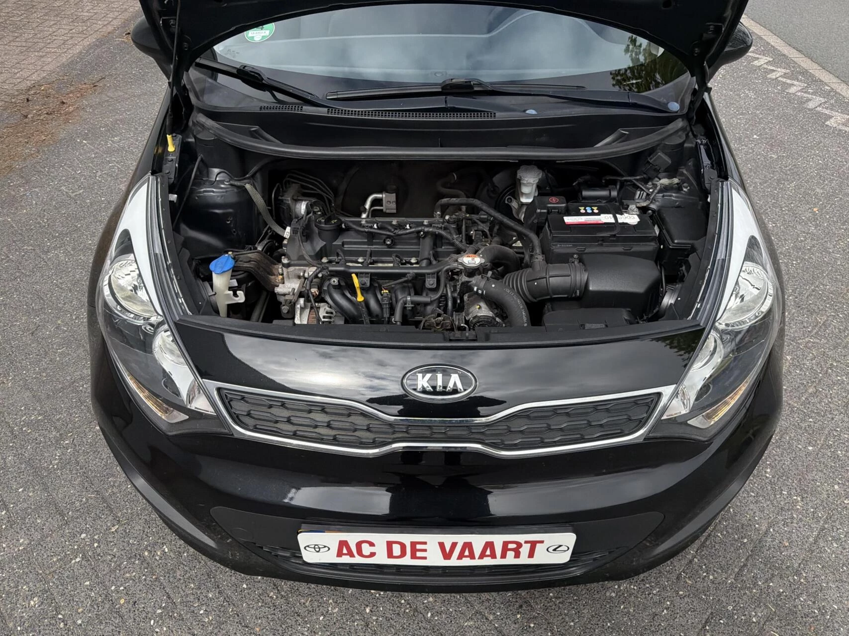 Hoofdafbeelding Kia Rio