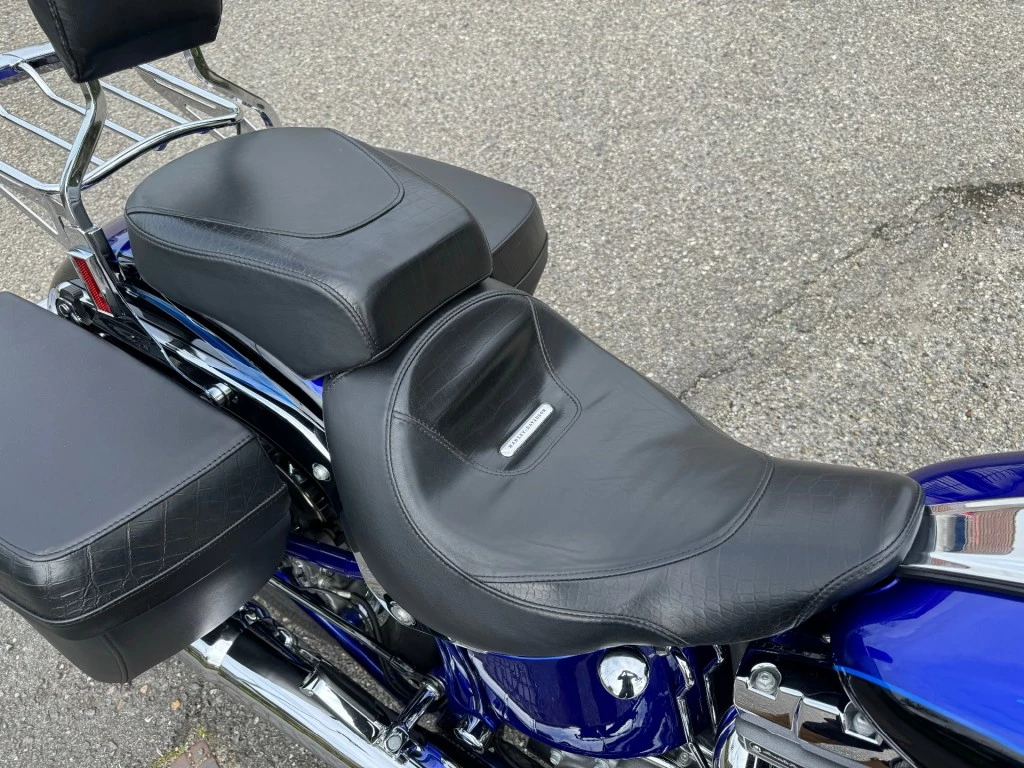 Hoofdafbeelding Harley-Davidson Softail