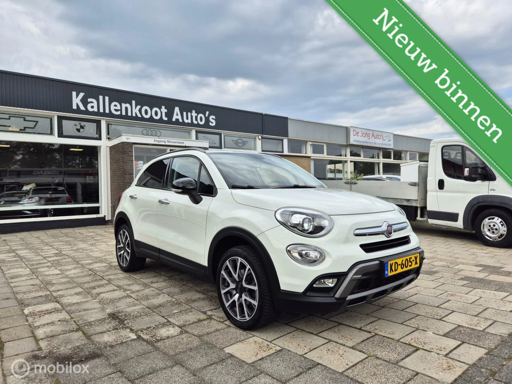 Hoofdafbeelding Fiat 500X