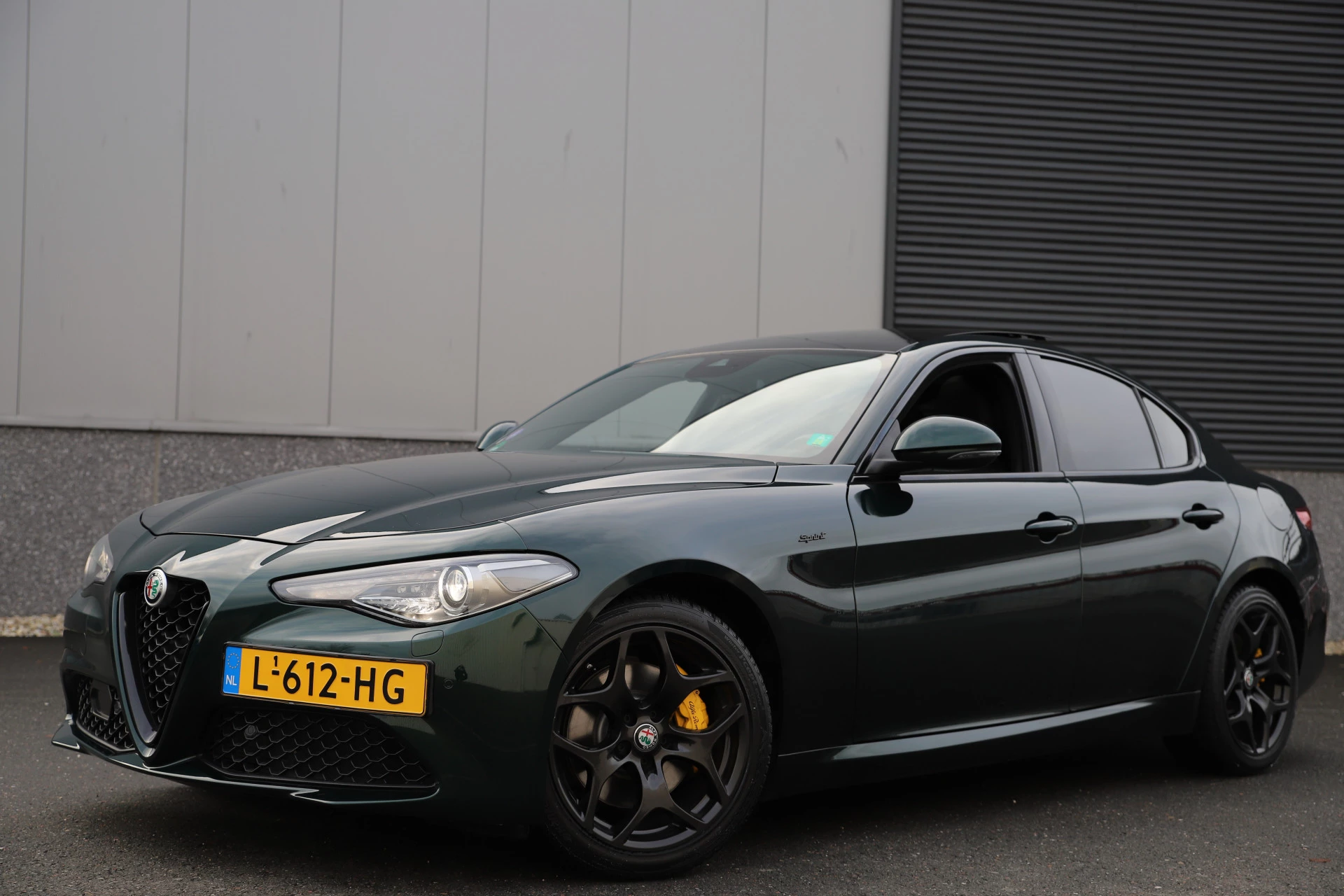 Hoofdafbeelding Alfa Romeo Giulia