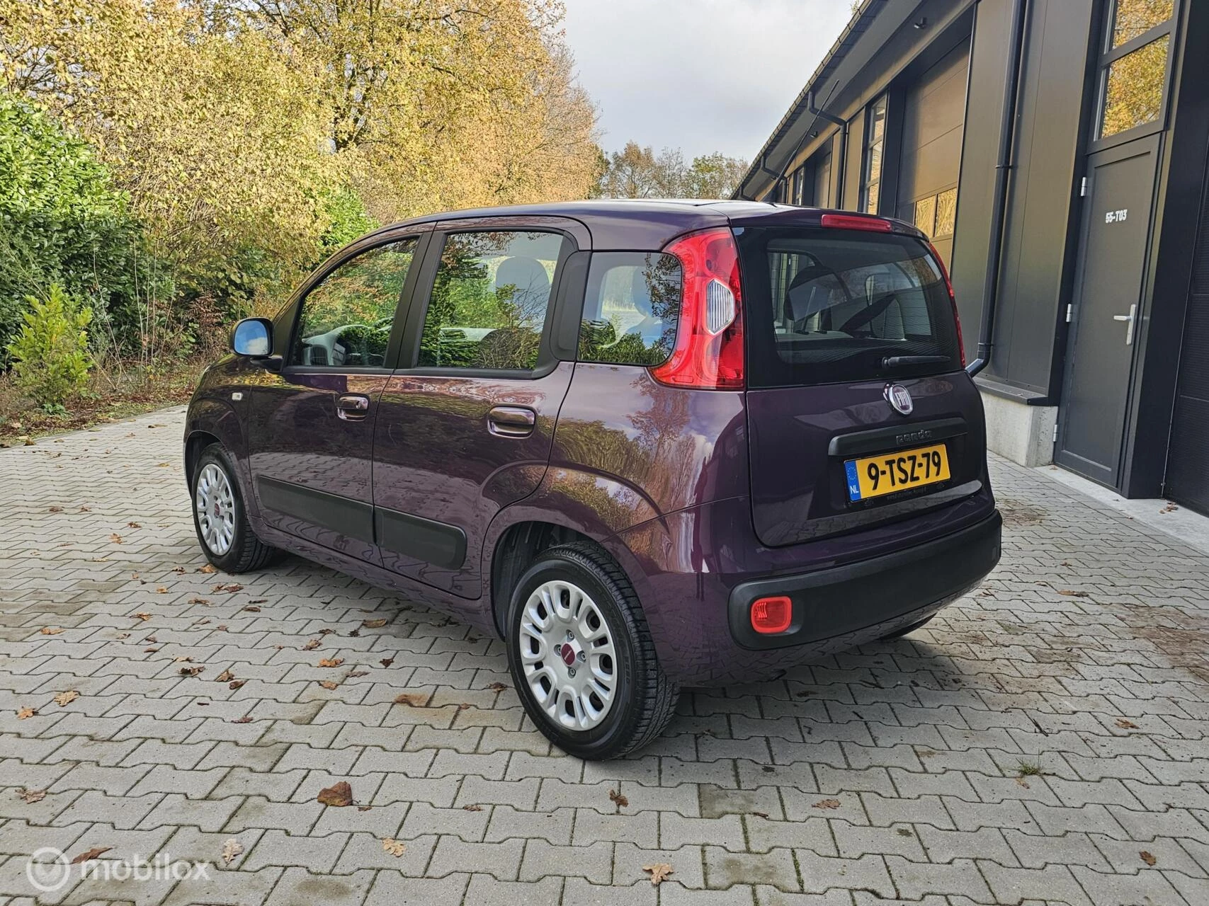 Hoofdafbeelding Fiat Panda