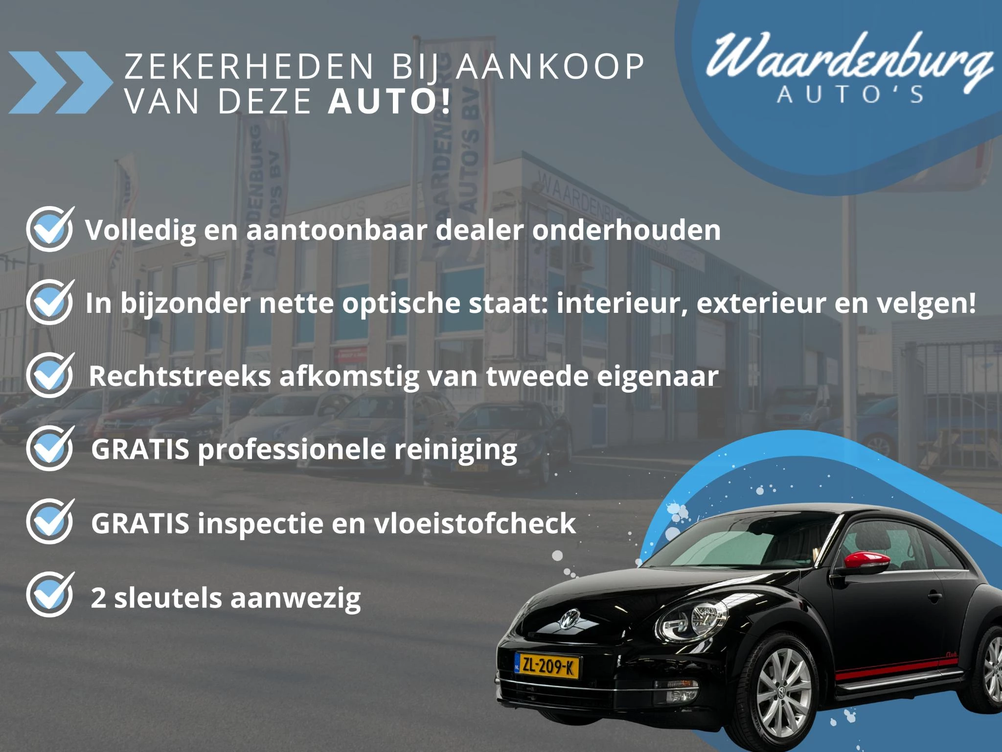 Hoofdafbeelding Volkswagen Beetle
