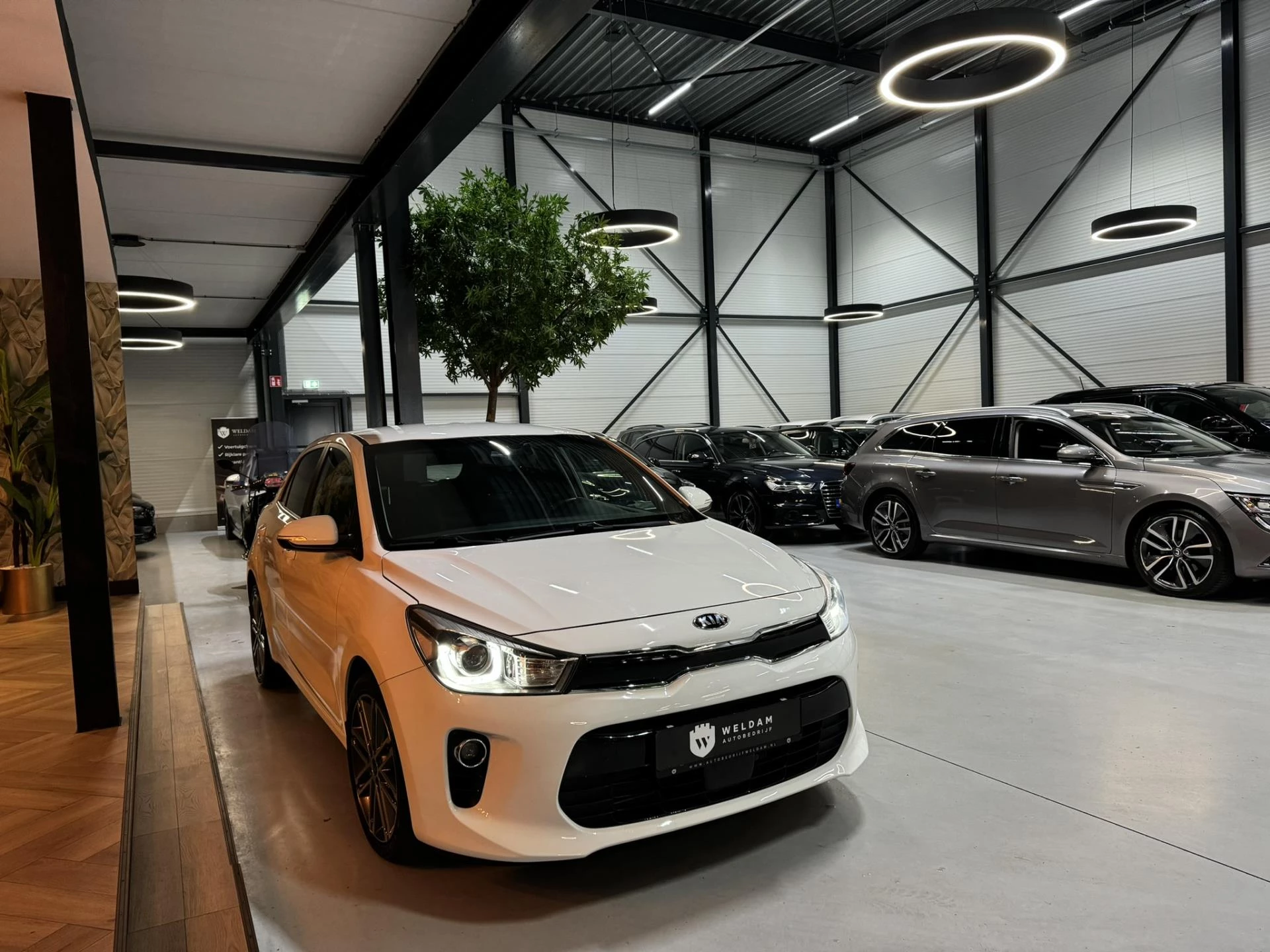 Hoofdafbeelding Kia Rio