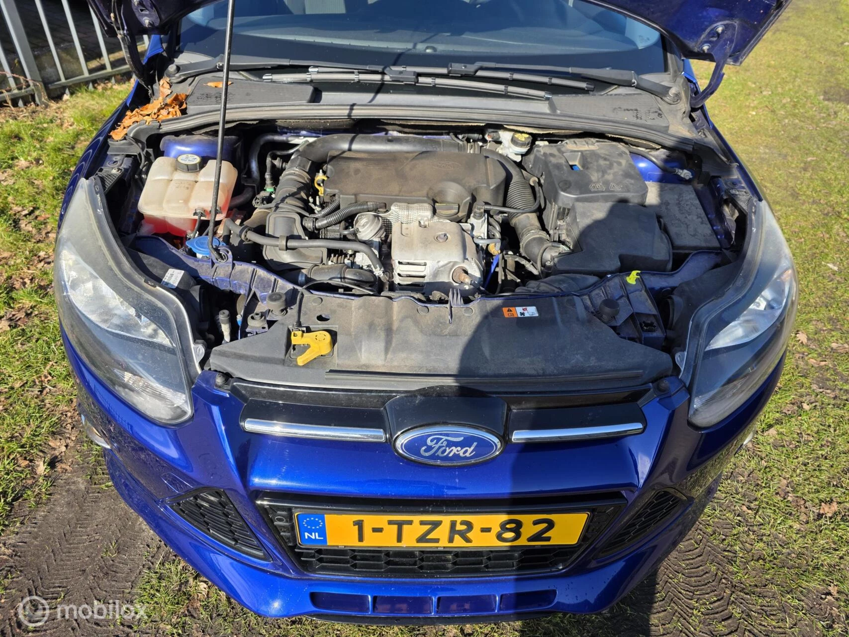 Hoofdafbeelding Ford Focus