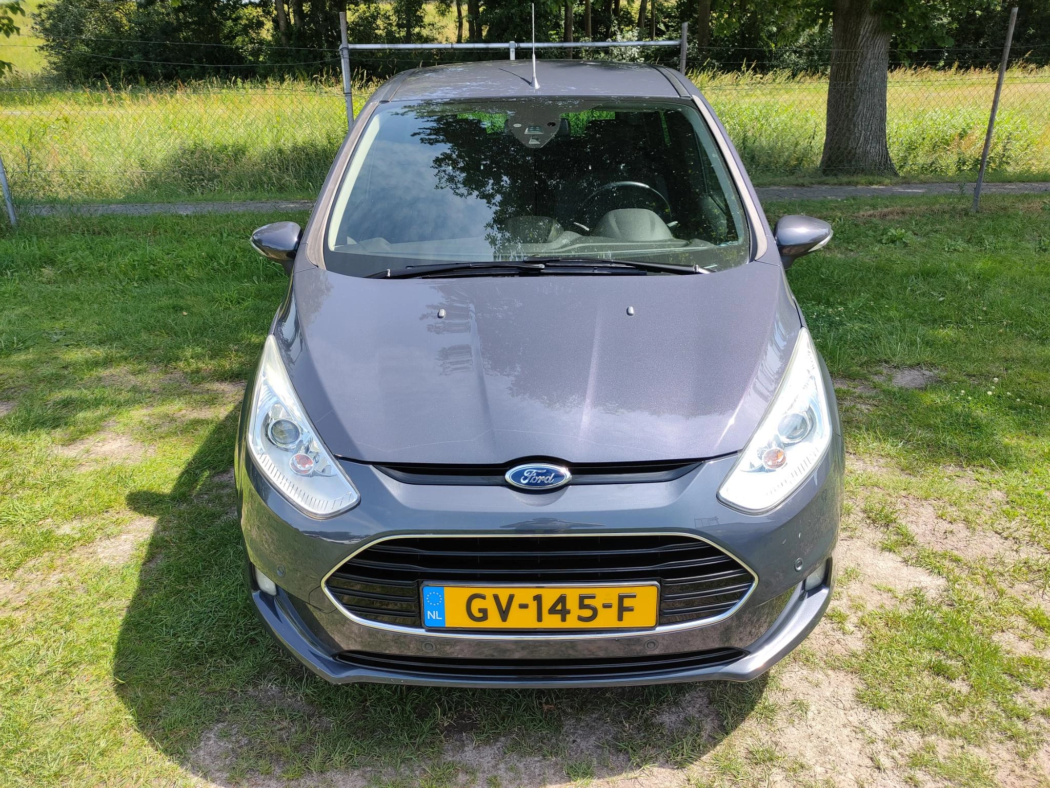 Hoofdafbeelding Ford B-MAX