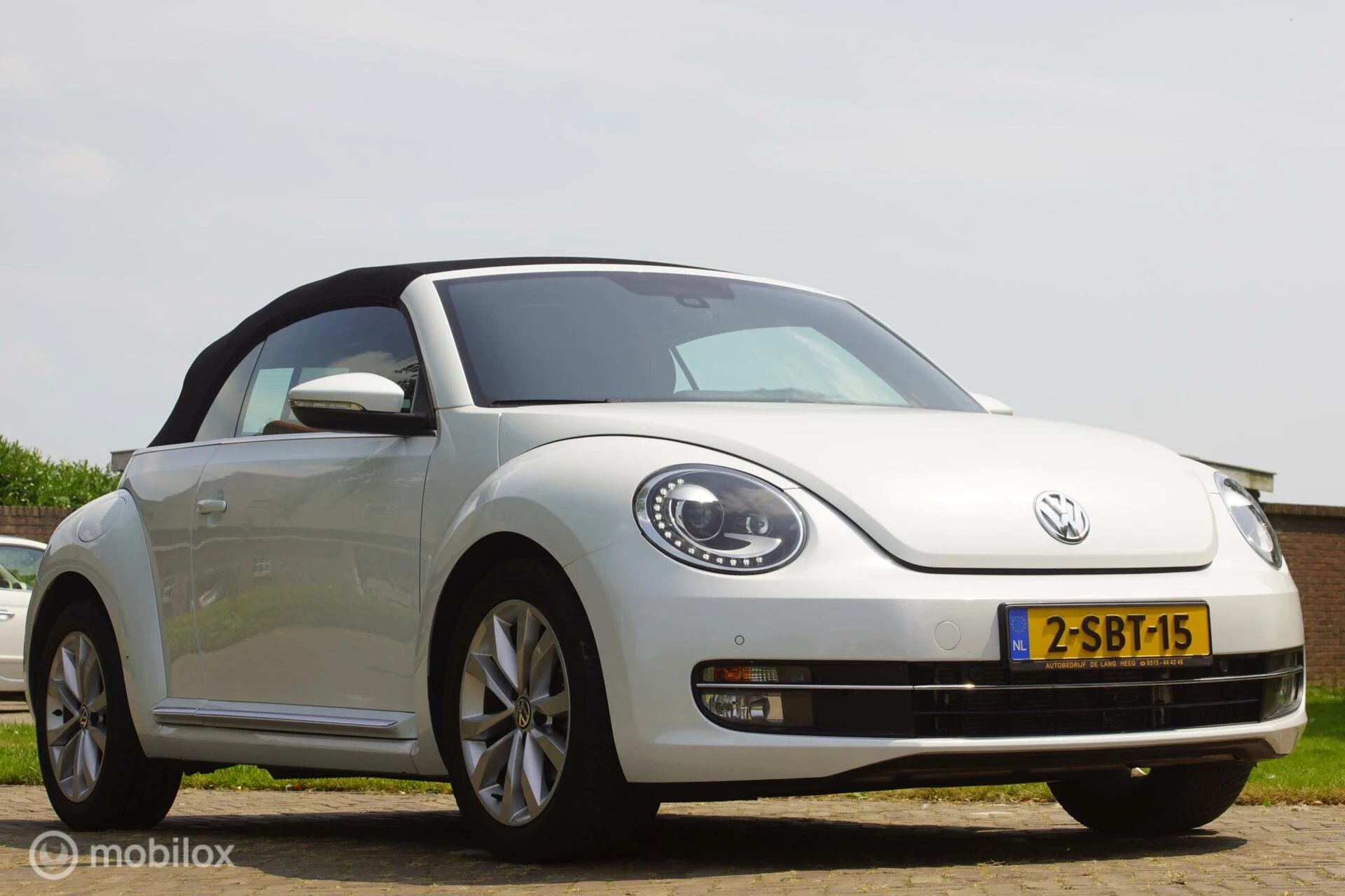 Hoofdafbeelding Volkswagen Beetle