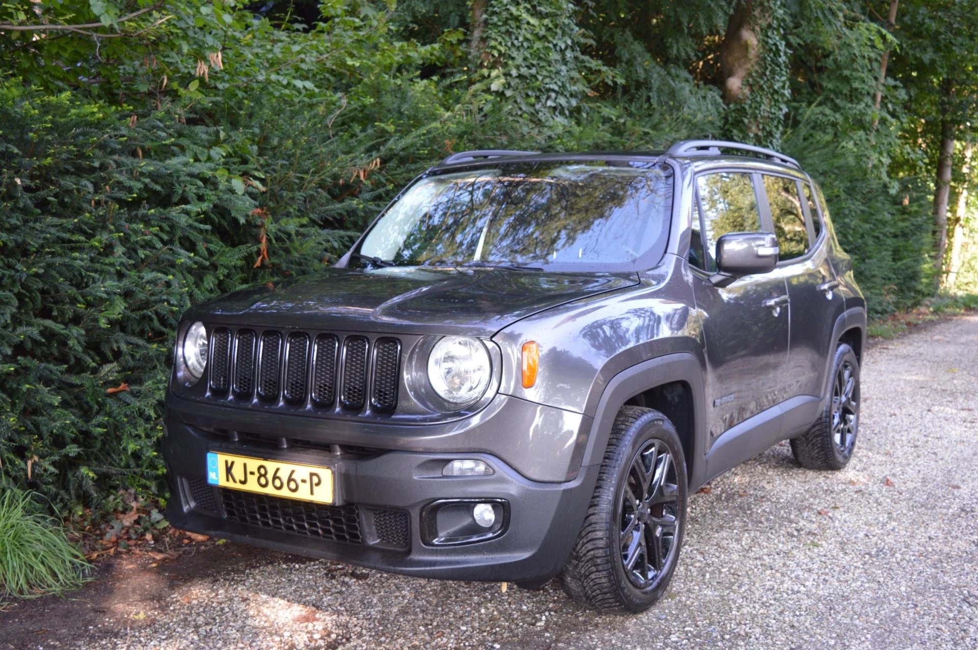 Hoofdafbeelding Jeep Renegade