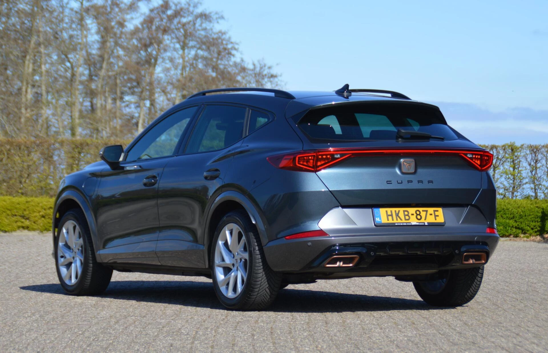 Hoofdafbeelding CUPRA Formentor