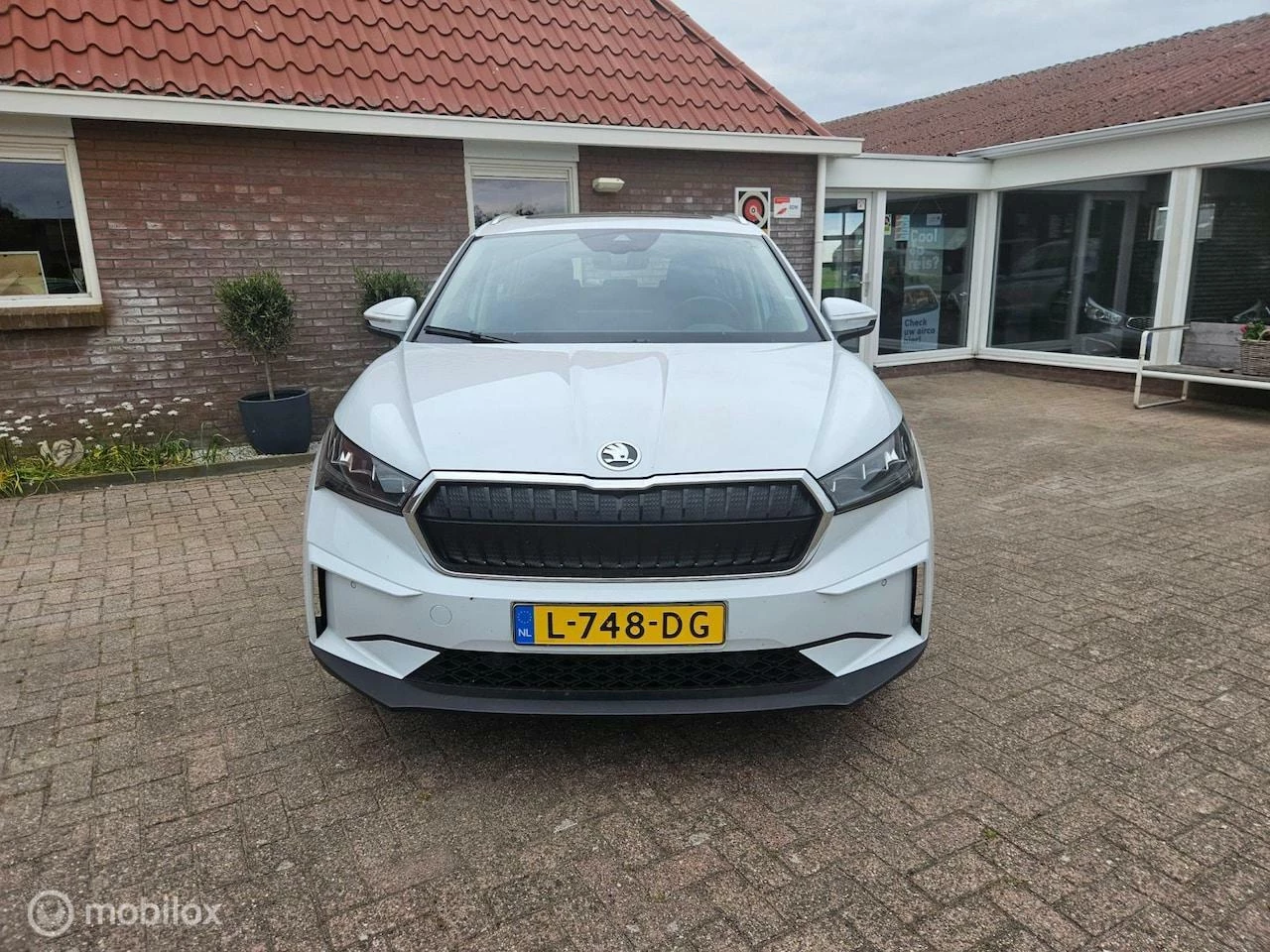 Hoofdafbeelding Škoda Enyaq iV