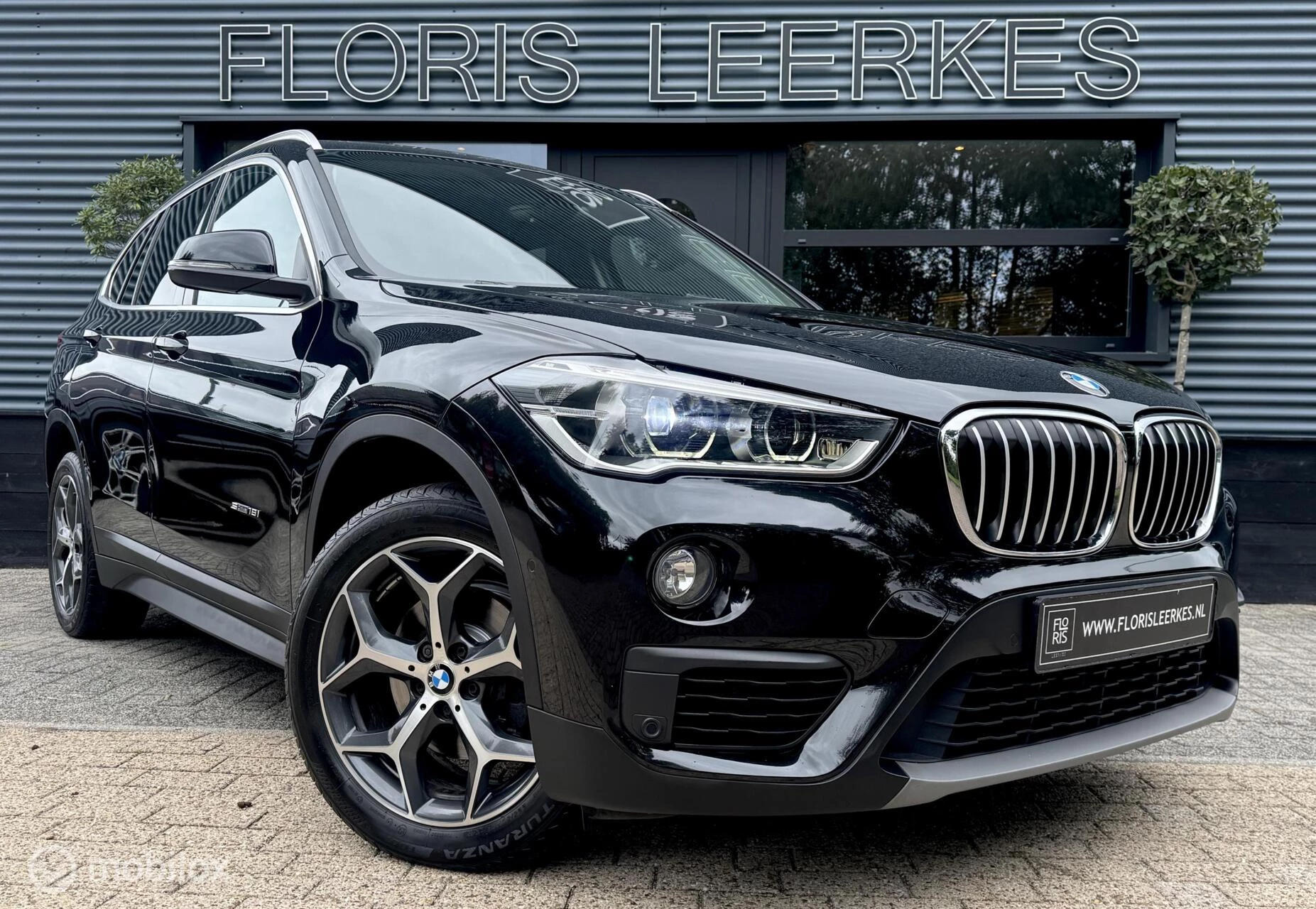 Hoofdafbeelding BMW X1
