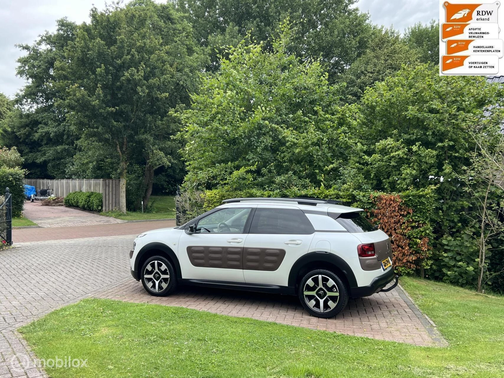 Hoofdafbeelding Citroën C4 Cactus