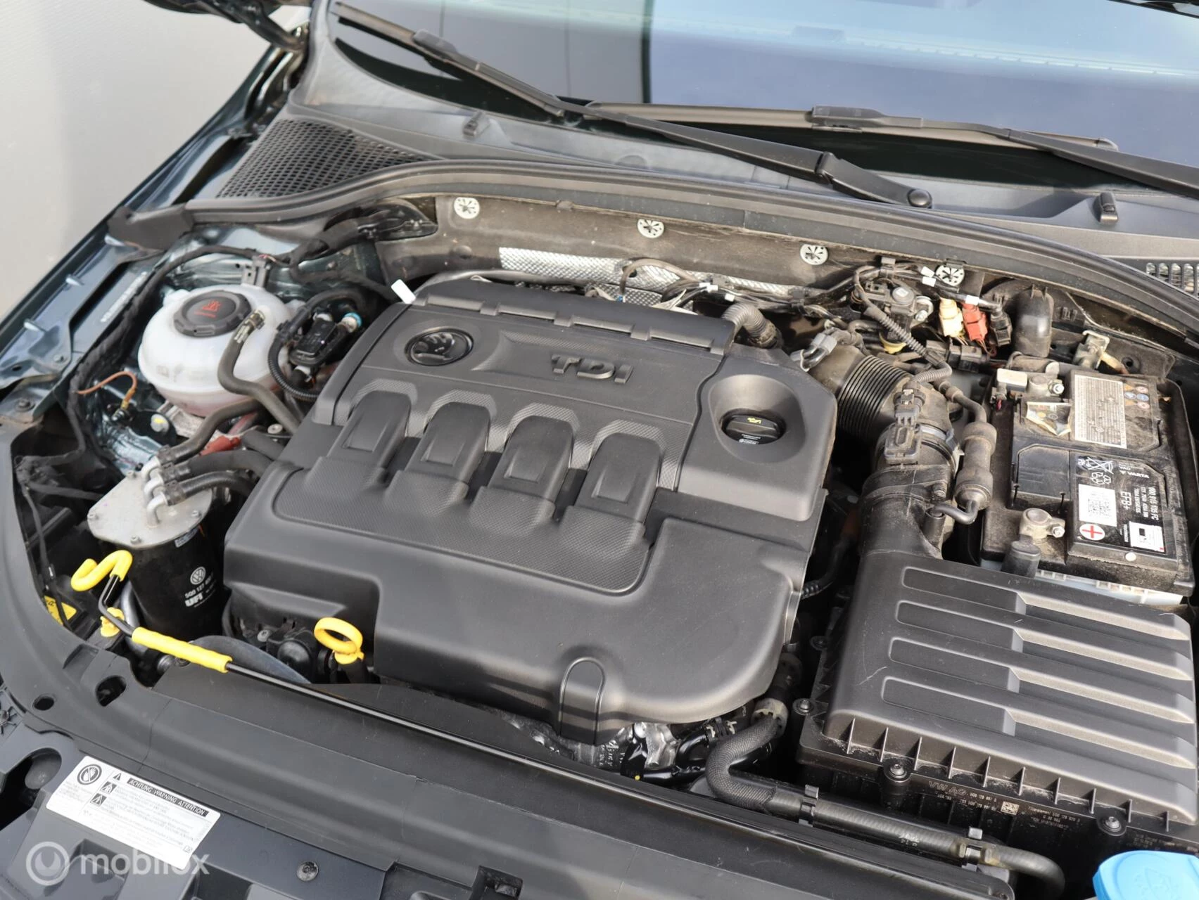 Hoofdafbeelding Škoda Octavia