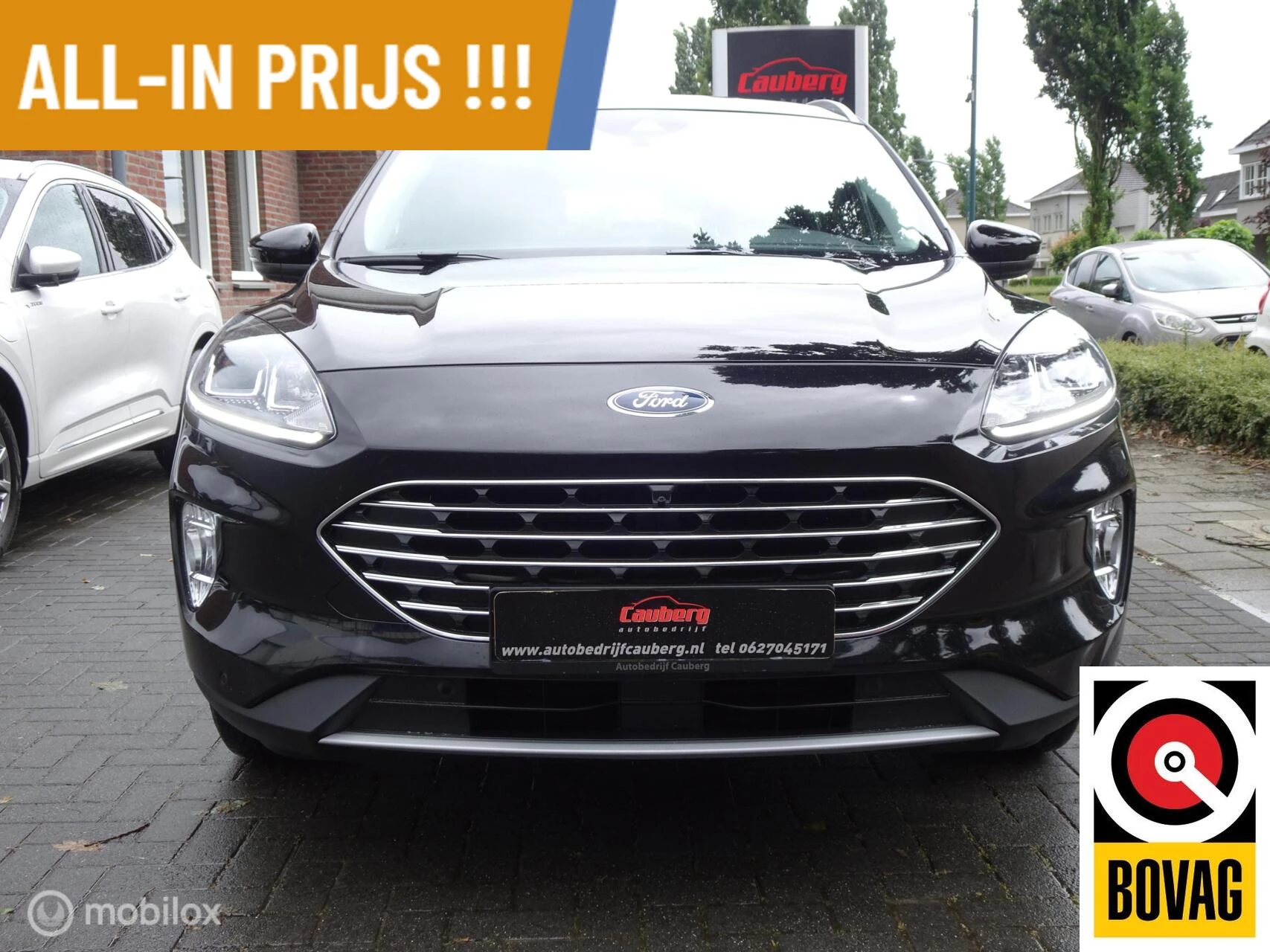 Hoofdafbeelding Ford Kuga