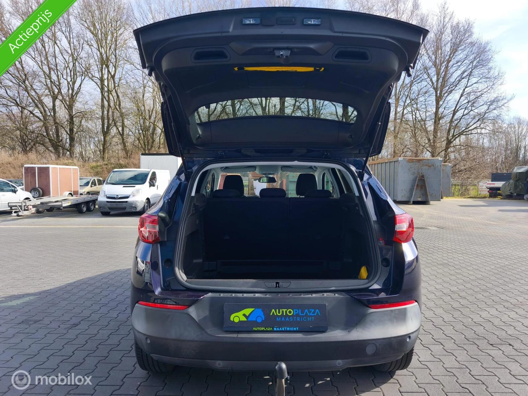 Hoofdafbeelding Opel Grandland X
