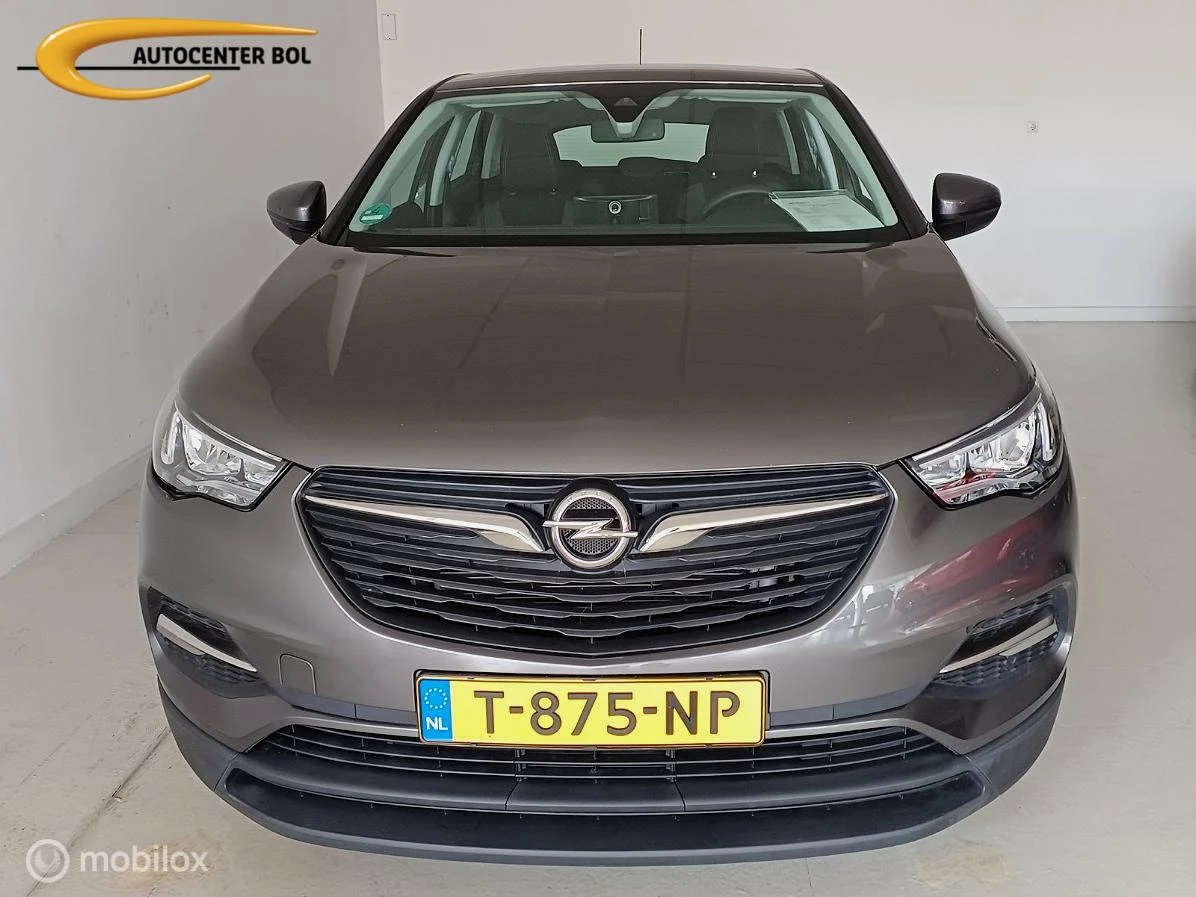 Hoofdafbeelding Opel Grandland X