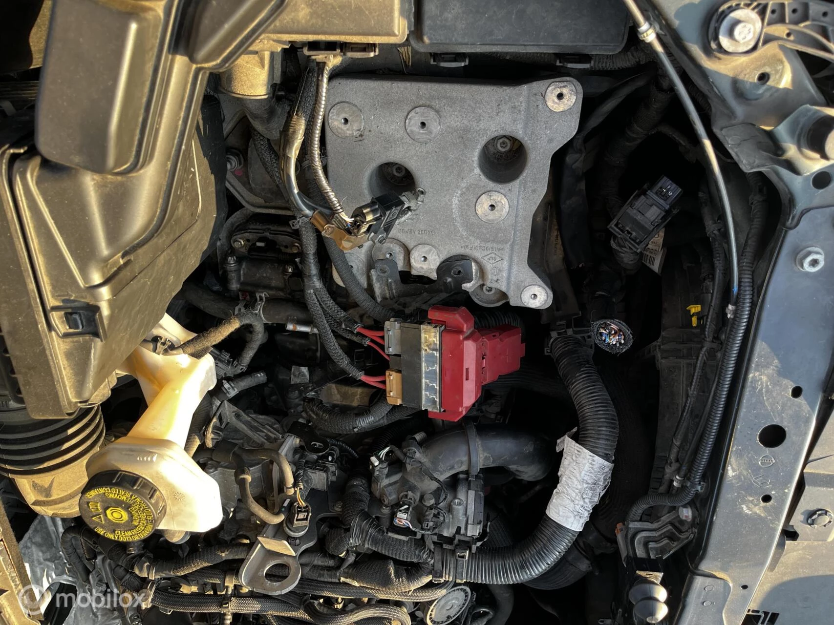 Hoofdafbeelding Renault Kadjar