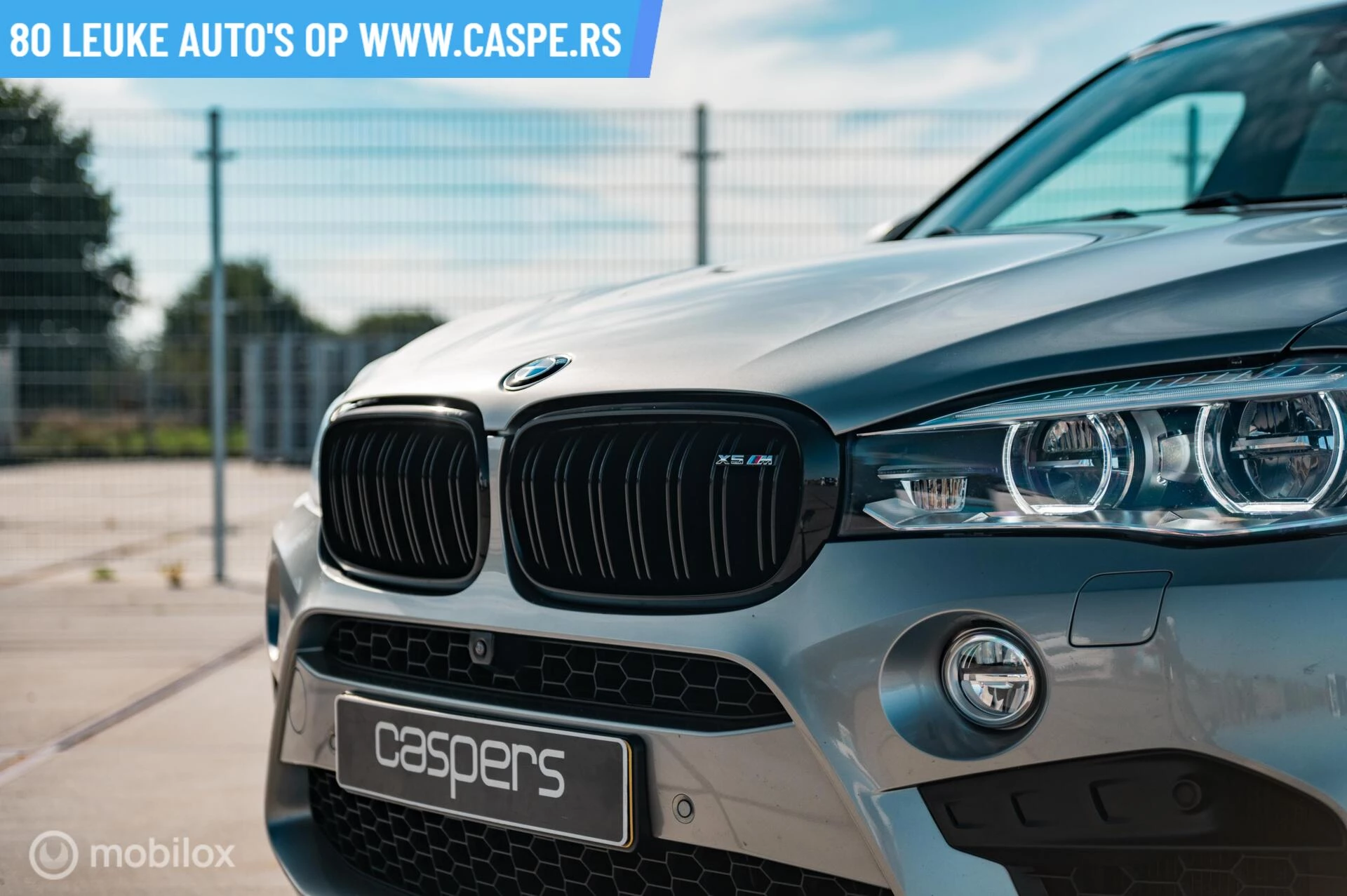 Hoofdafbeelding BMW X5